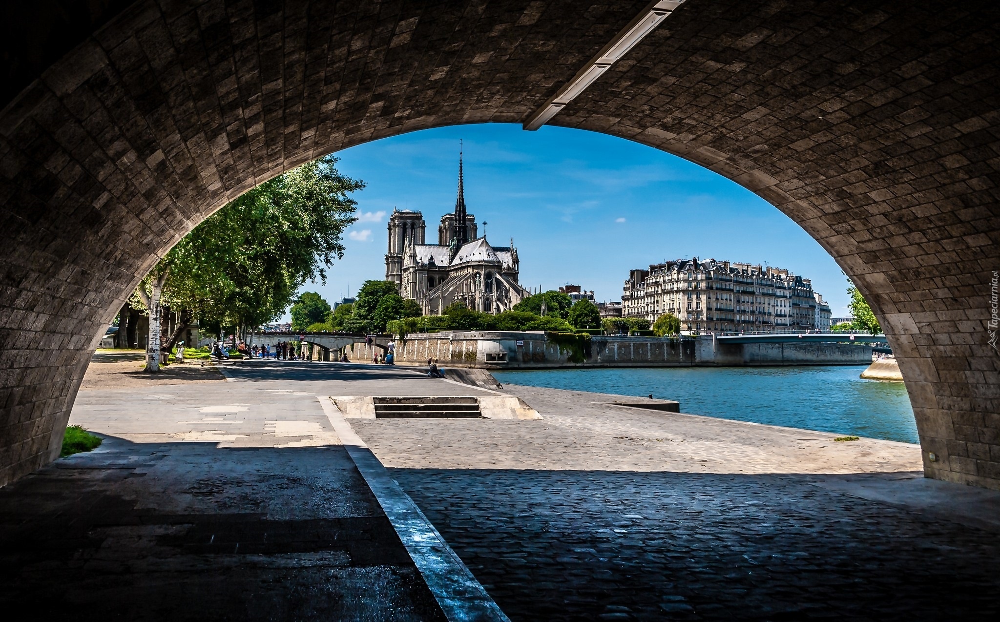 Katedra, Notre Dame, Tunel, Paryż, Francja