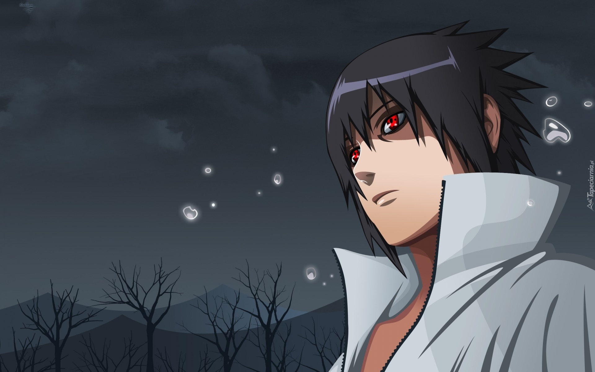 Naruto, Sasuke Uchiha