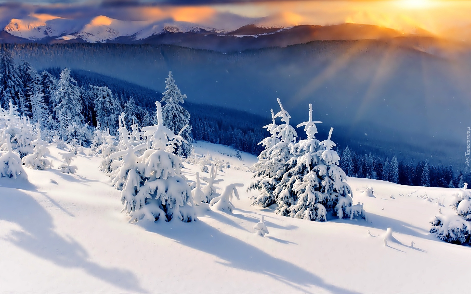 Zima, Śnieg, Drzewa, Góry, Zachód Słońca, Dolina
