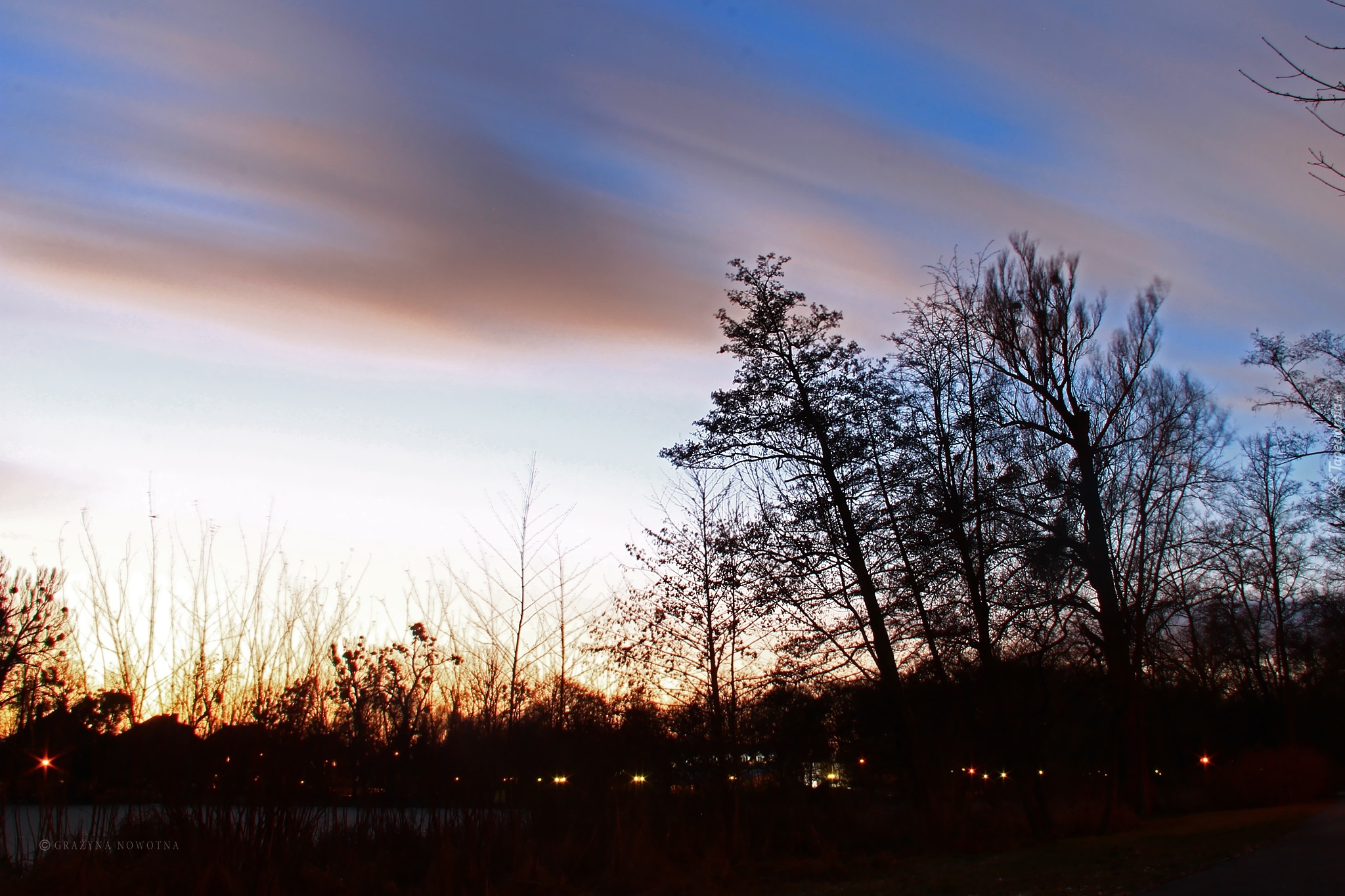 Wieczór, Park, Drzewa, Niebo