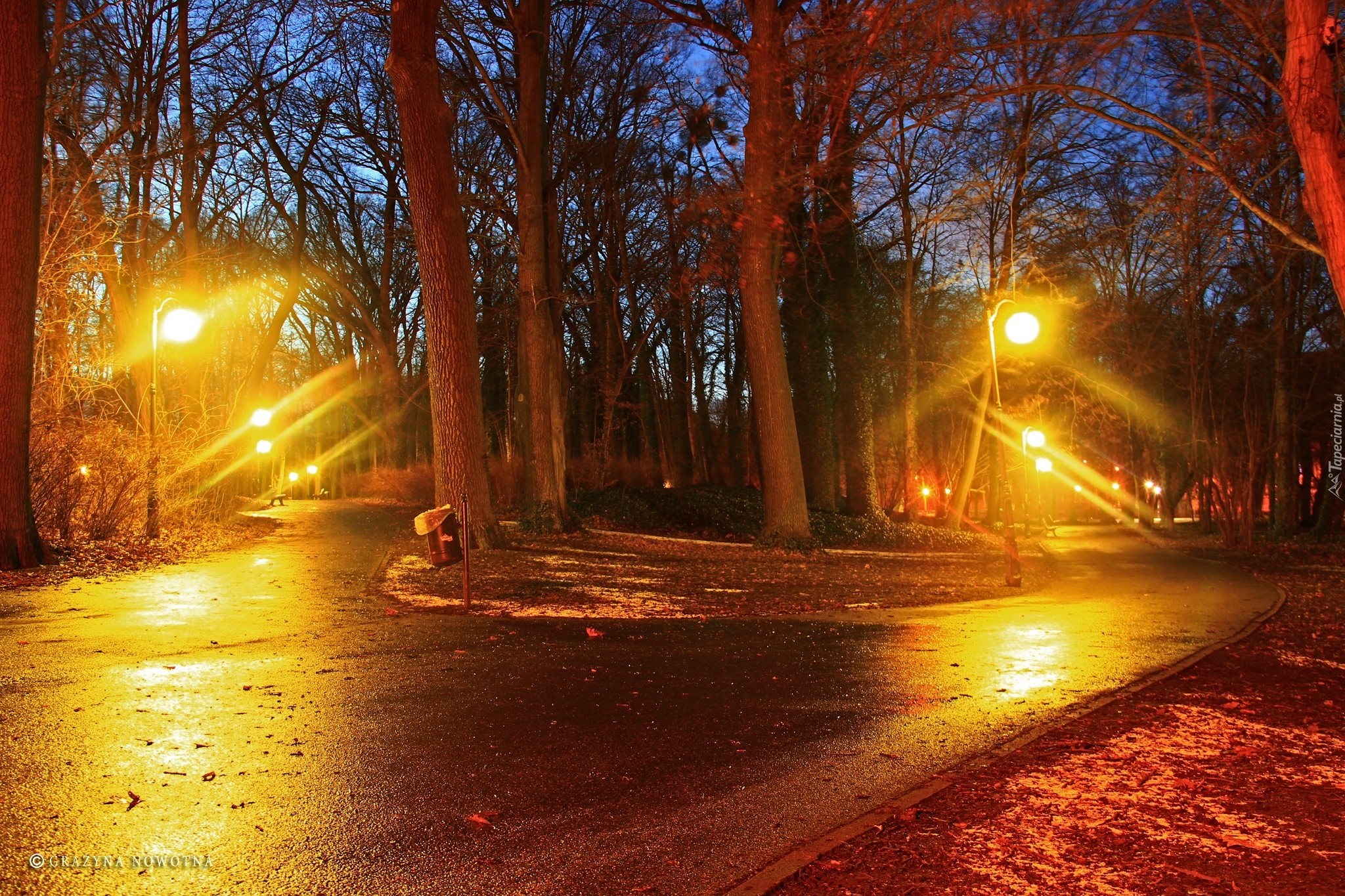 Park, Wieczór, Latarnie, Alejki