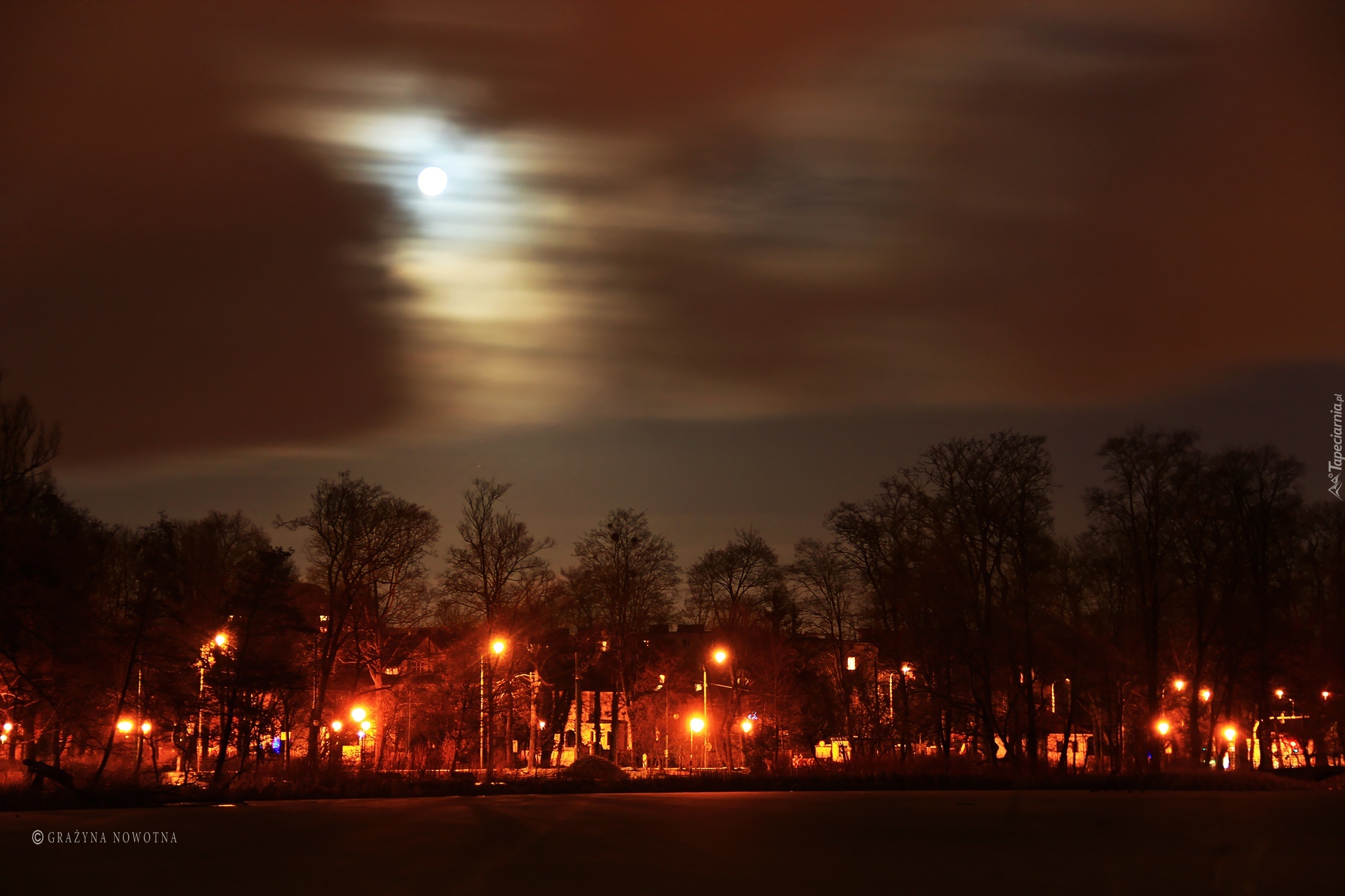 Park, Wieczór, Drzewa, Księżyc