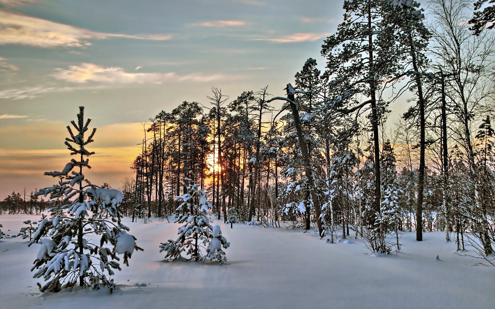 Zima, Śnieg, Zachód Słońca, Las, Drzewa