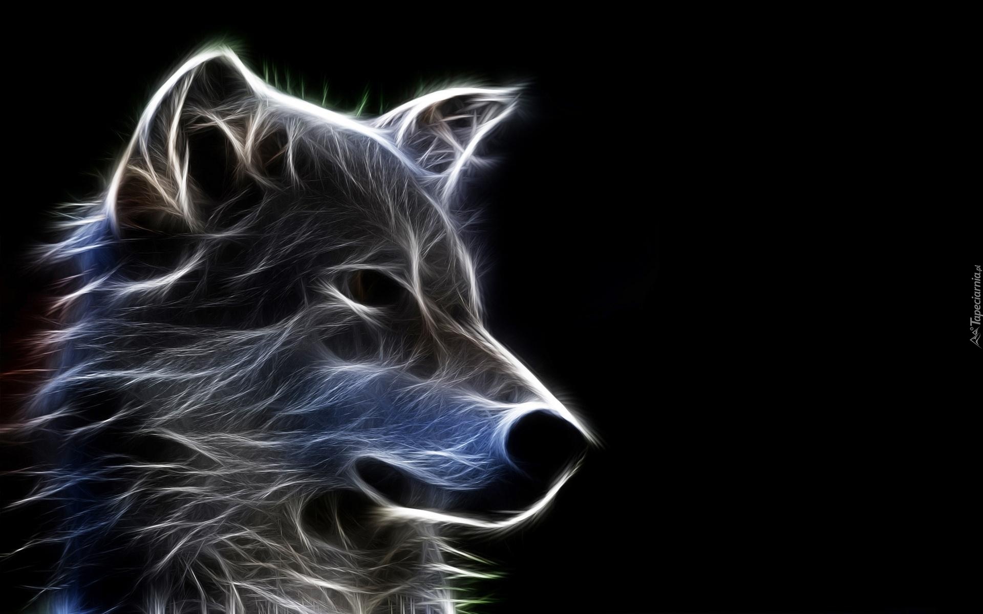 Wilk, Fractalius