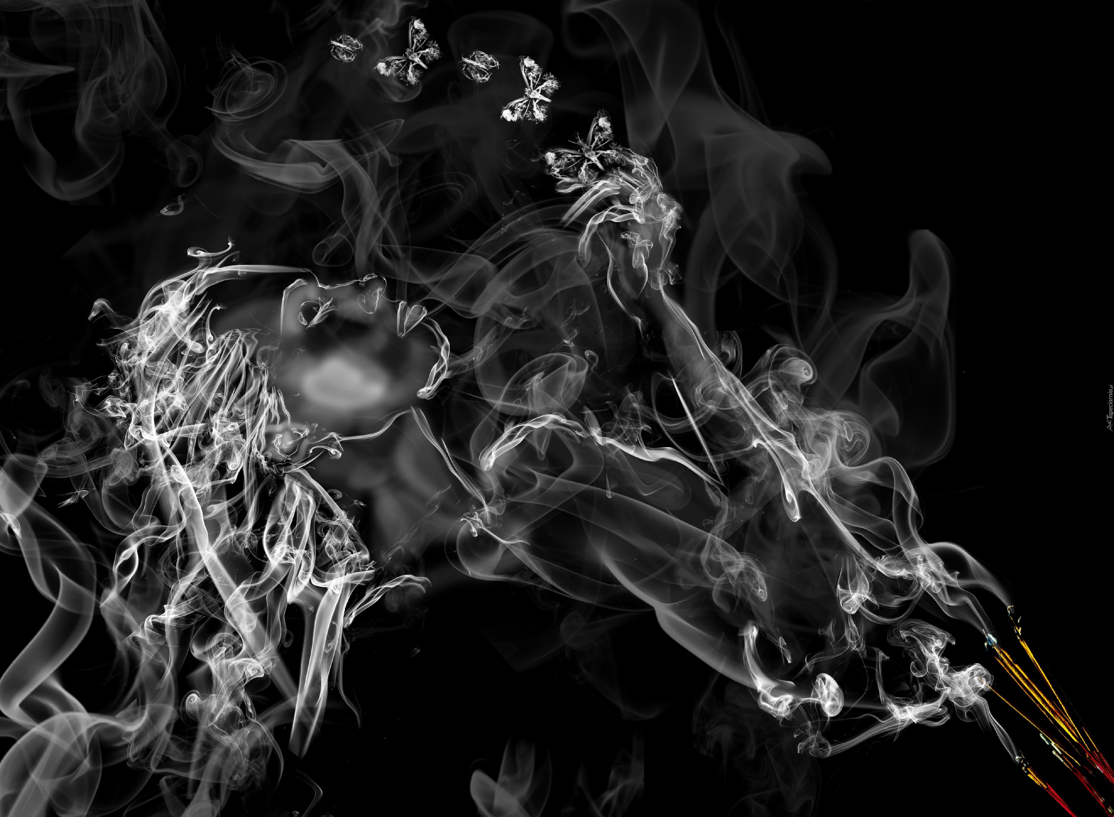 Песня дымок укутал потолок. Дым арт. Картины из дыма. Необычные картины на черном дым. Человек из дыма арт.