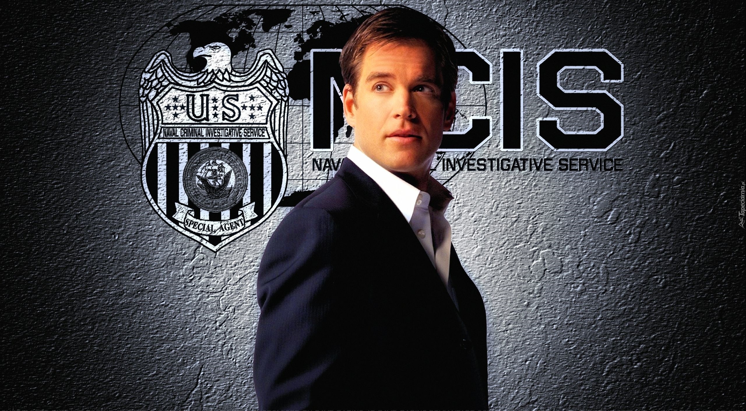 Michael Weatherly, Serial, Agenci NCIS