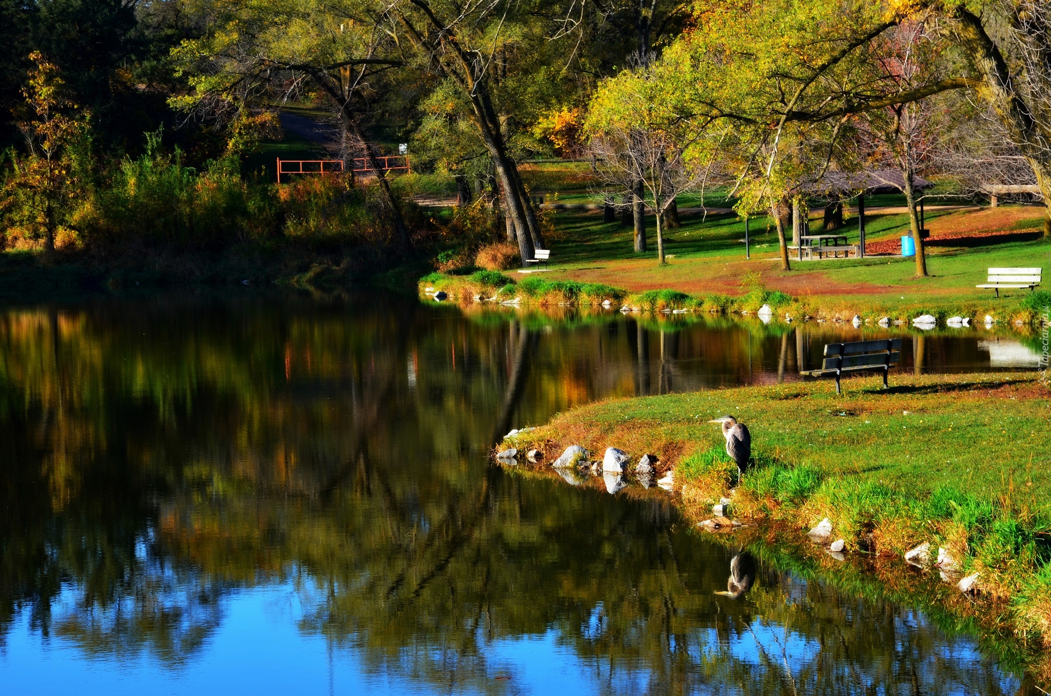 Park, Rzeka