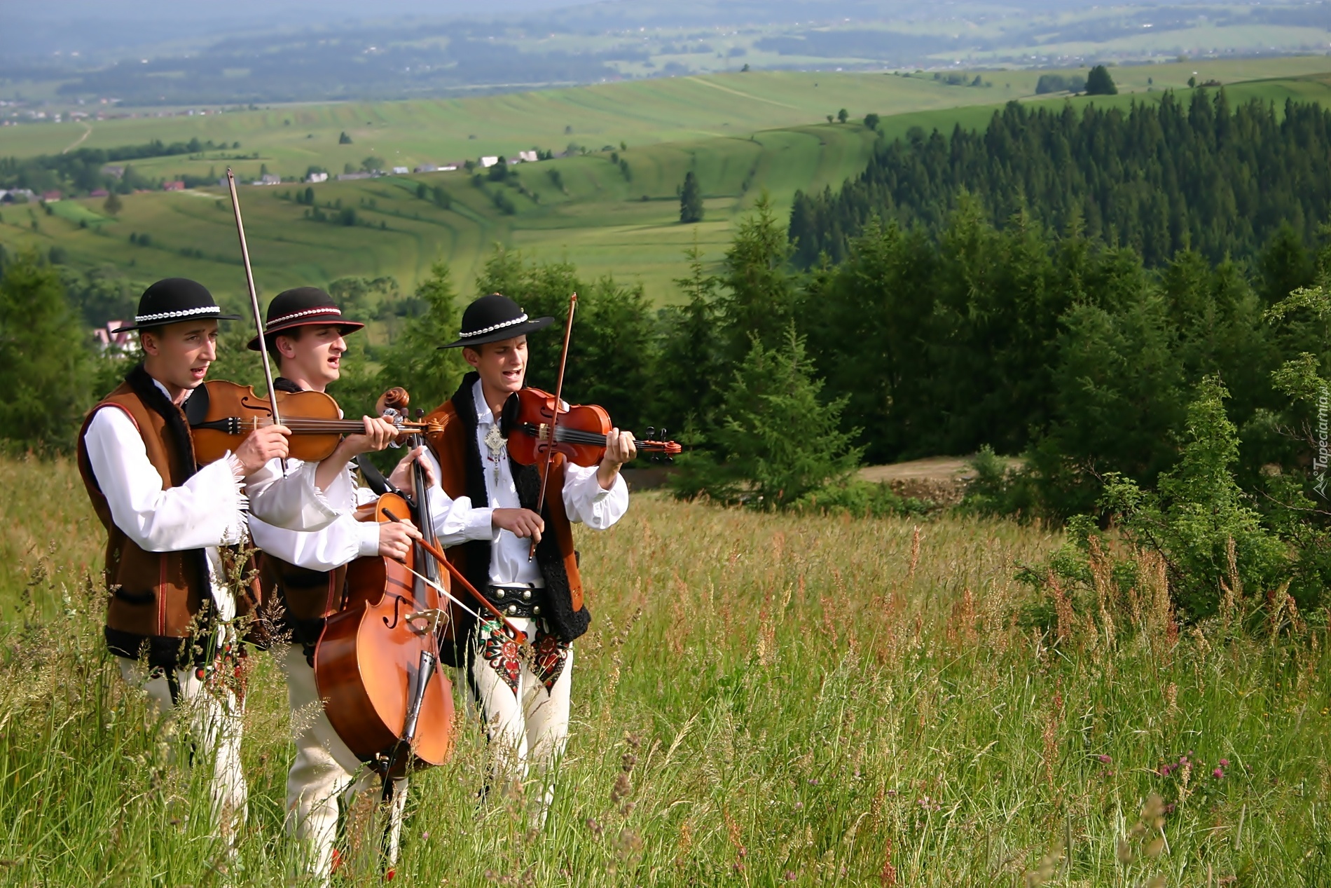 Górale, Mężczyźni, Muzyka, Instrumenty, Góry