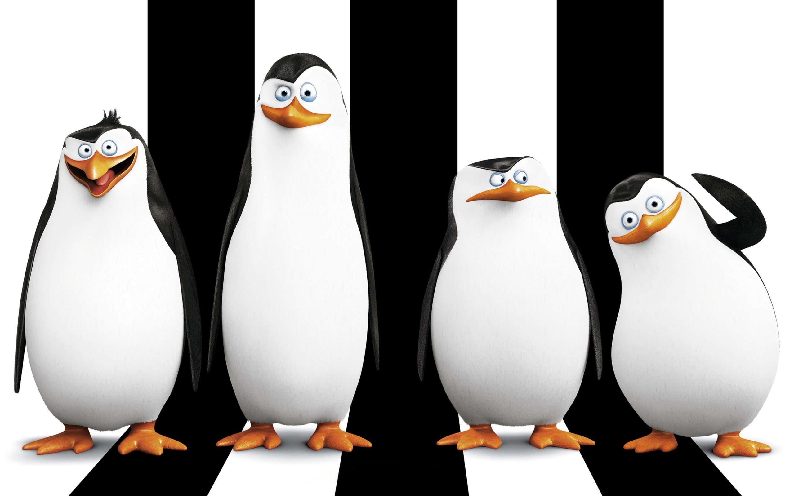 Pingwiny z Madagaskaru, The Penguins of Madagascar, Postacie