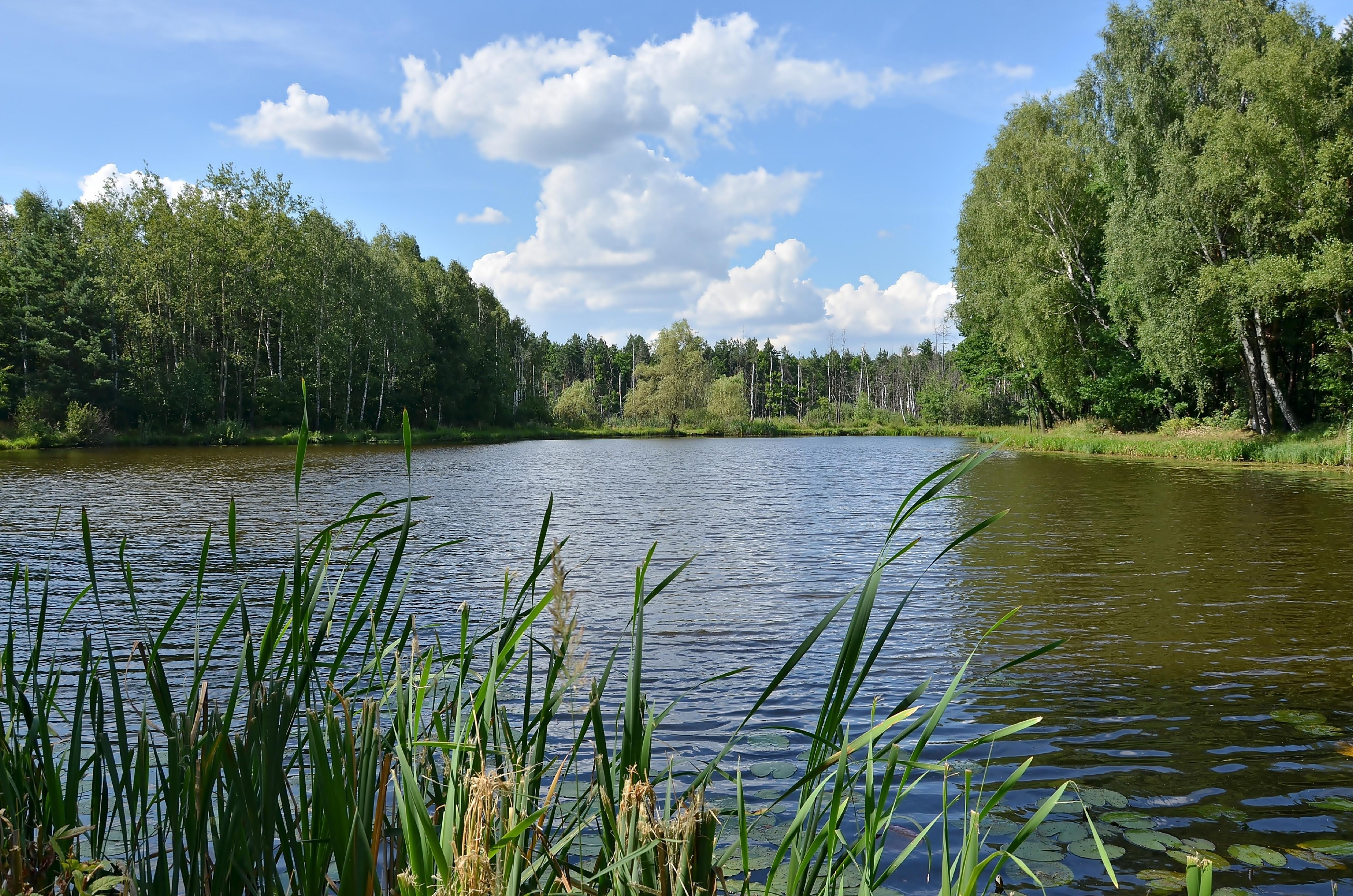 Lato, Rozlewisko, Jezioro