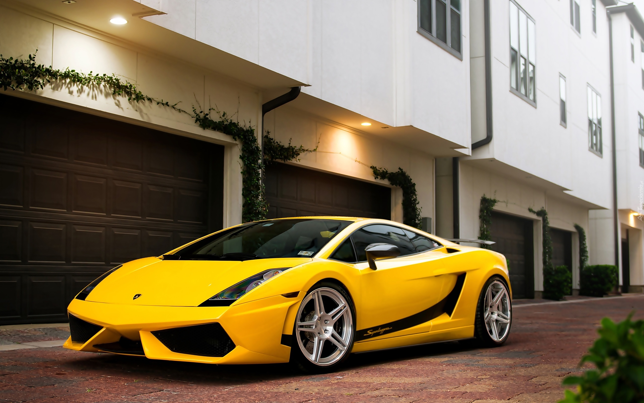 Żółte,  Lamborghini, Gallardo