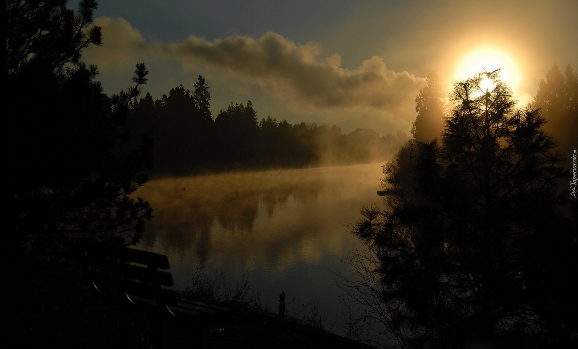 Jezioro, Las, Ławka, Wschód słońca