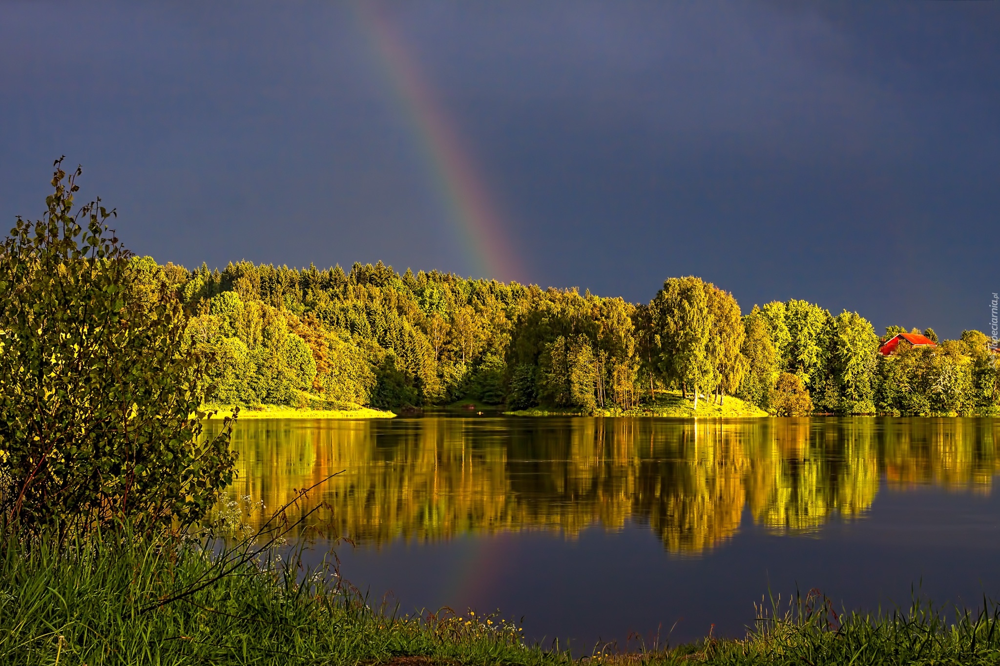 Jezioro, Las, Tęcza