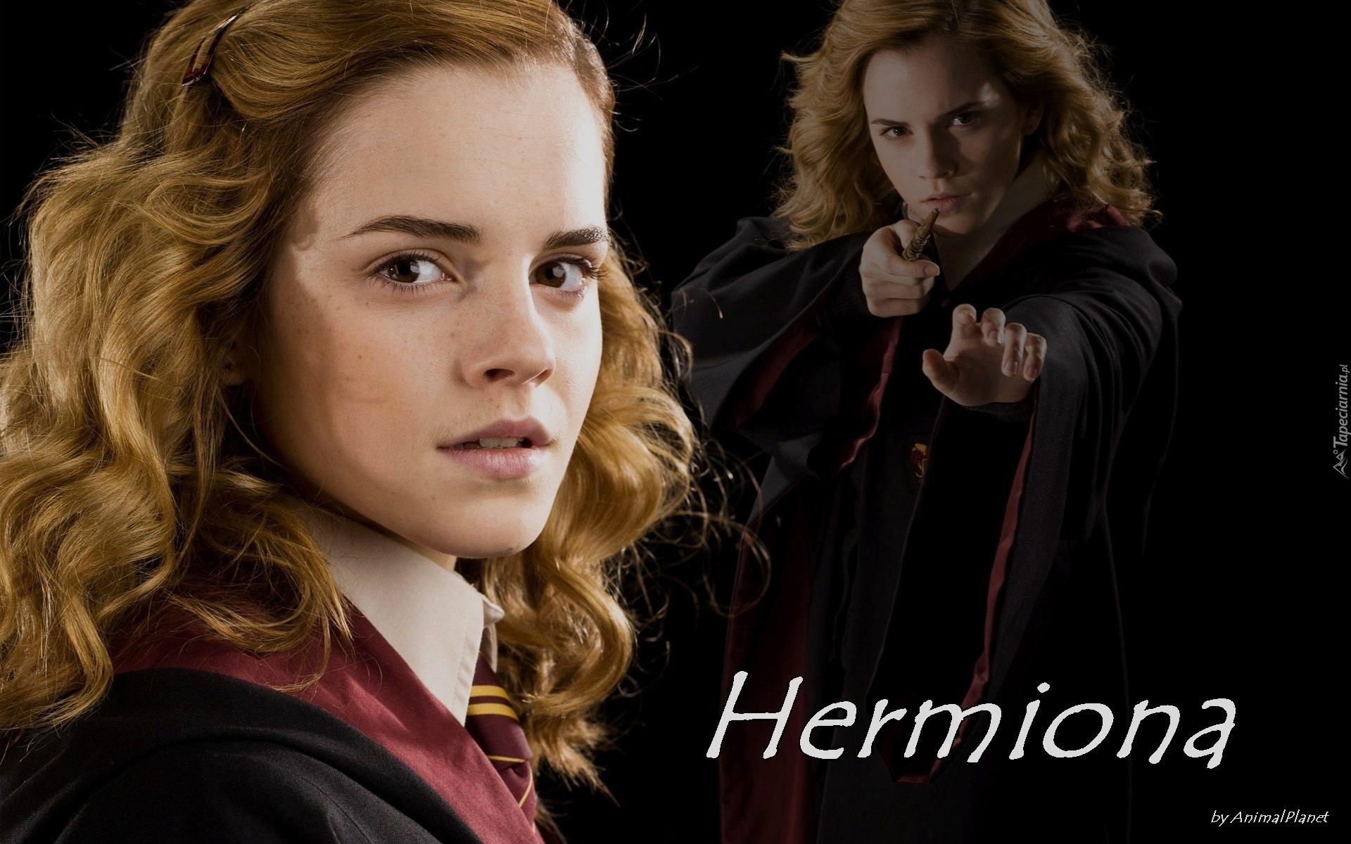 Kobieta, Aktorka, Emma, Watson, Film, Harry, Potter