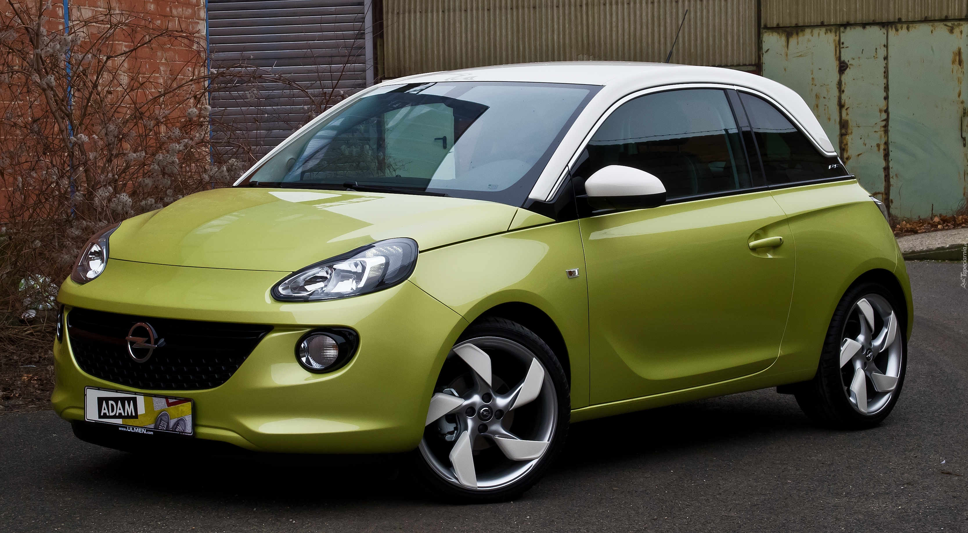 Opel, Adam