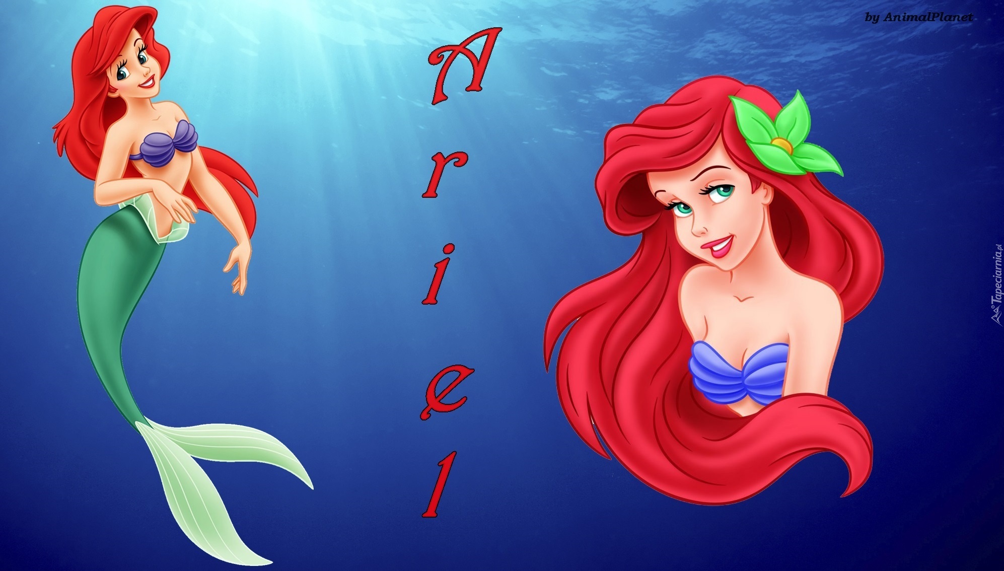 Mała Syrenka, The Little Mermaid, Bajka, Syrenka, Ariel