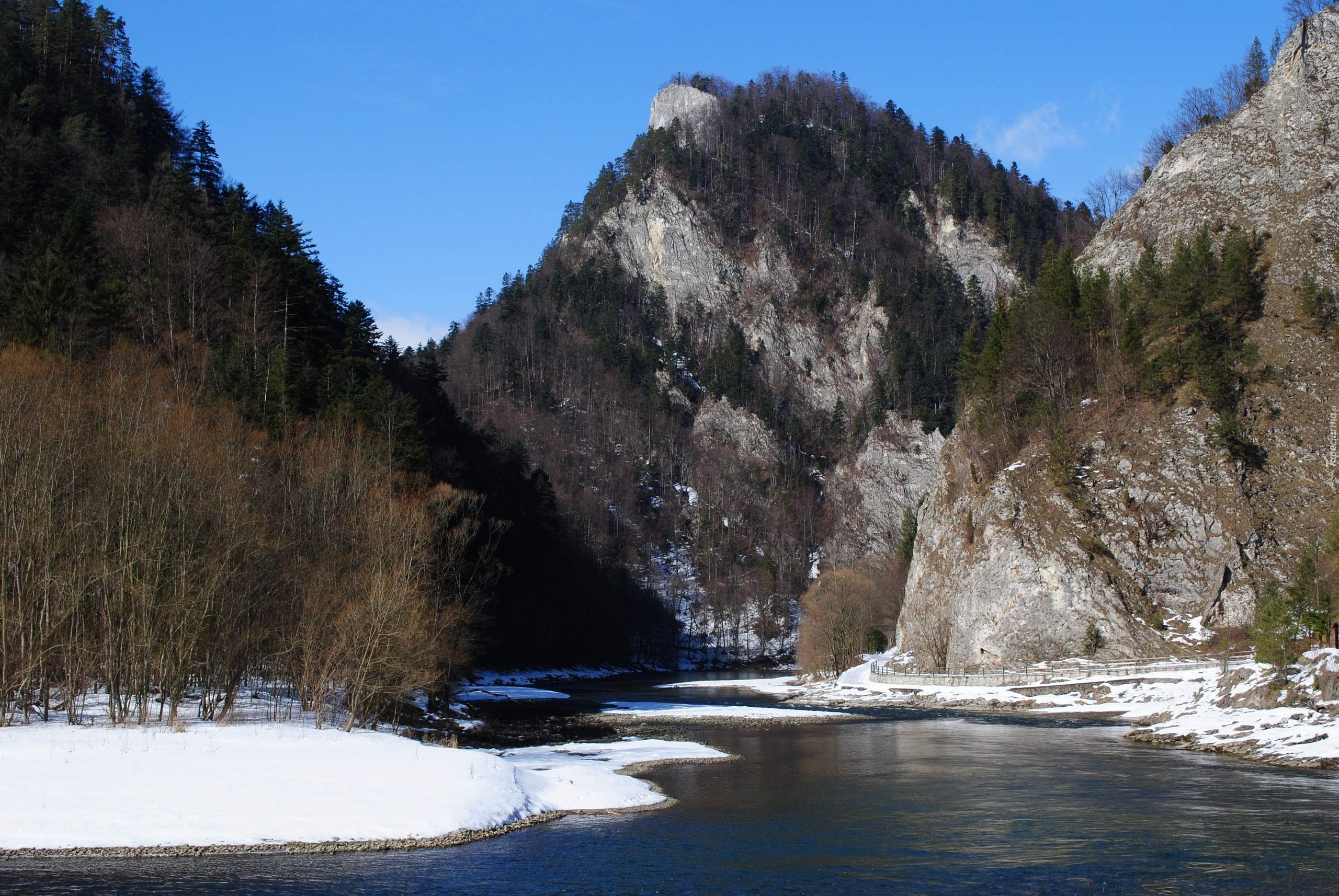 Szczawnica, Polska, Góry, Rzeka