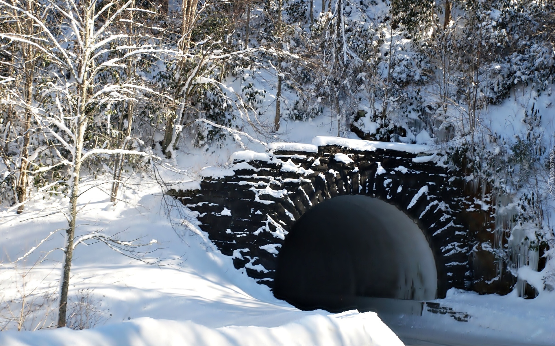 Zima, Śnieg, Tunel. Las, Drzewa