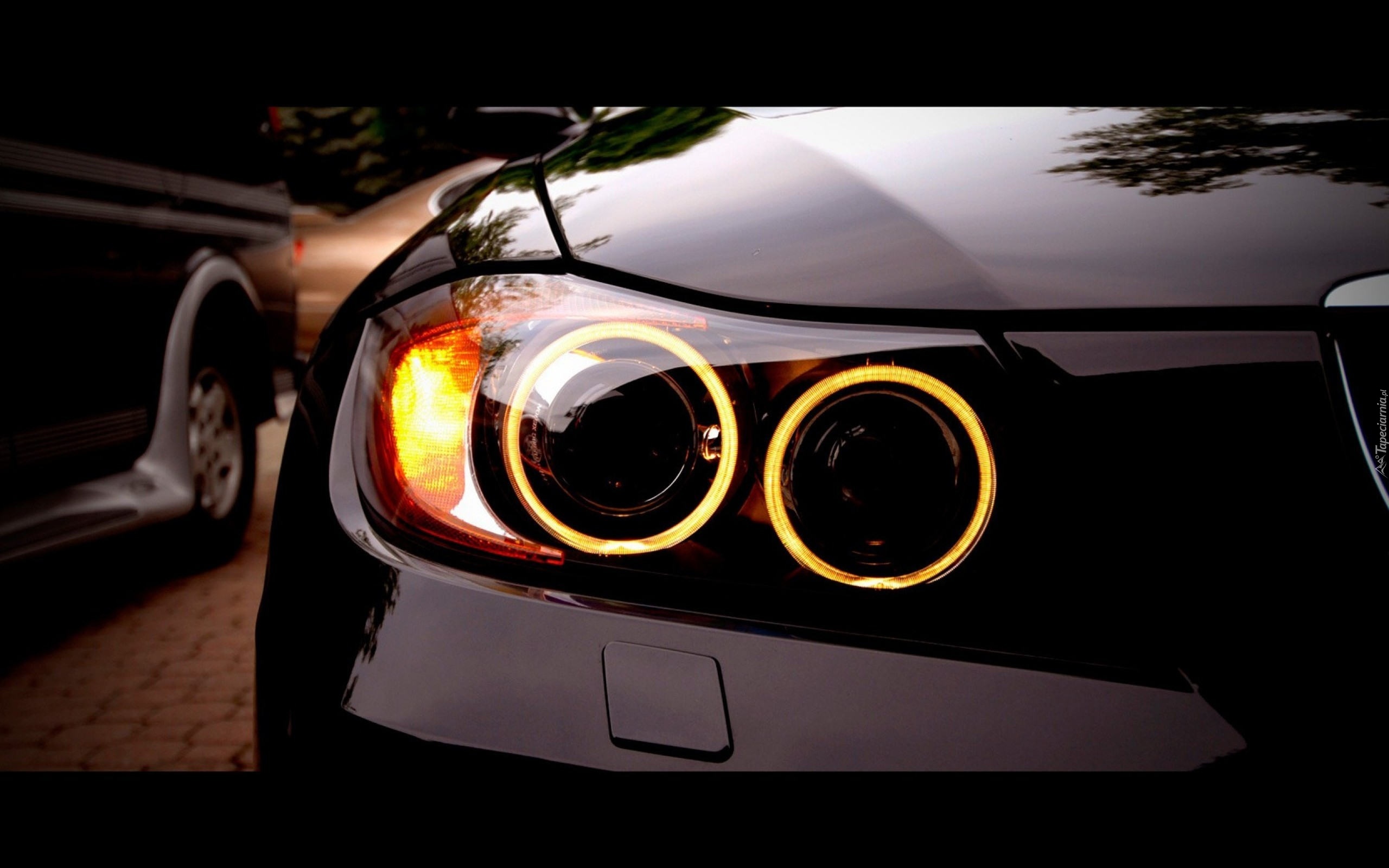 Lampy, BMW, Angel eyes