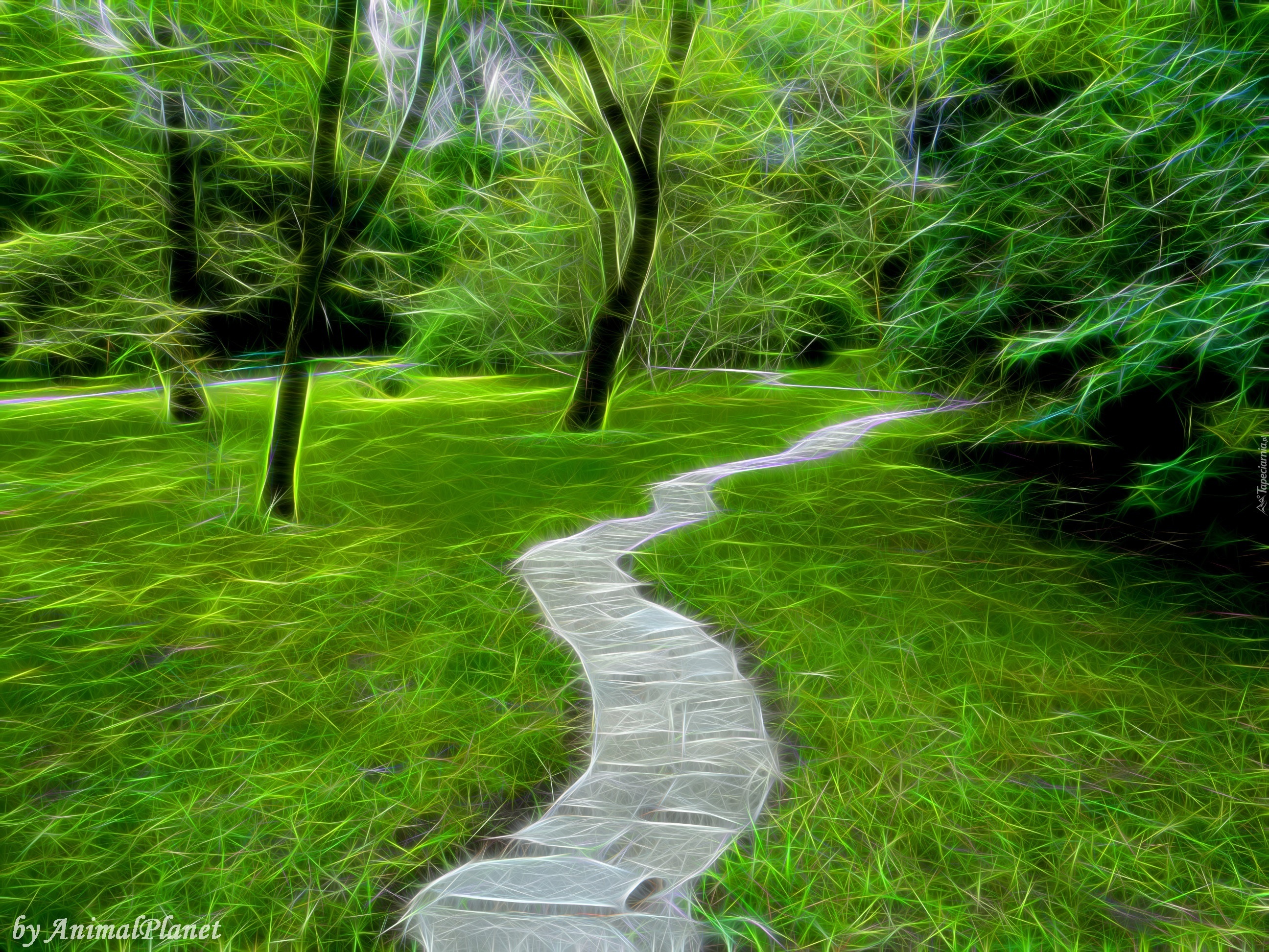 Park, Ścieżka, Fractalius