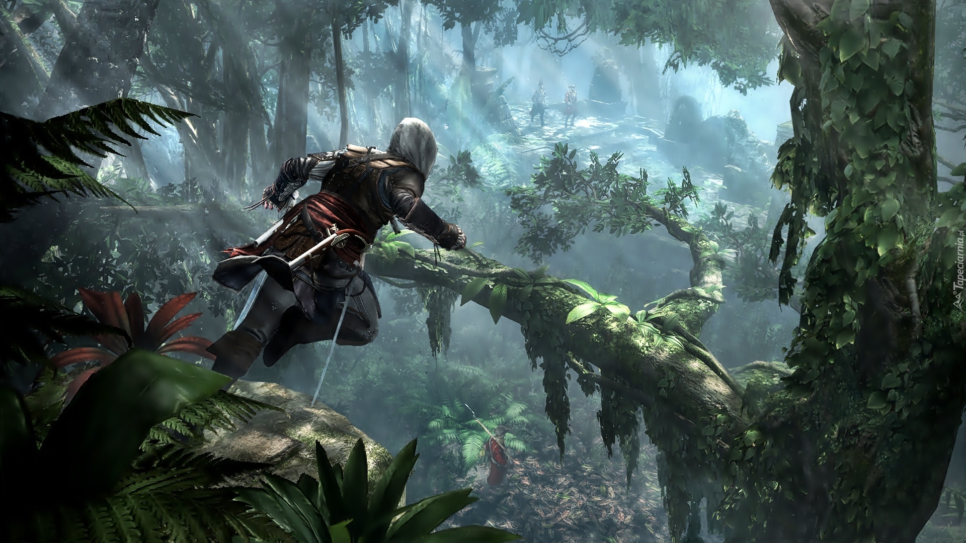 Assassins Creed 4