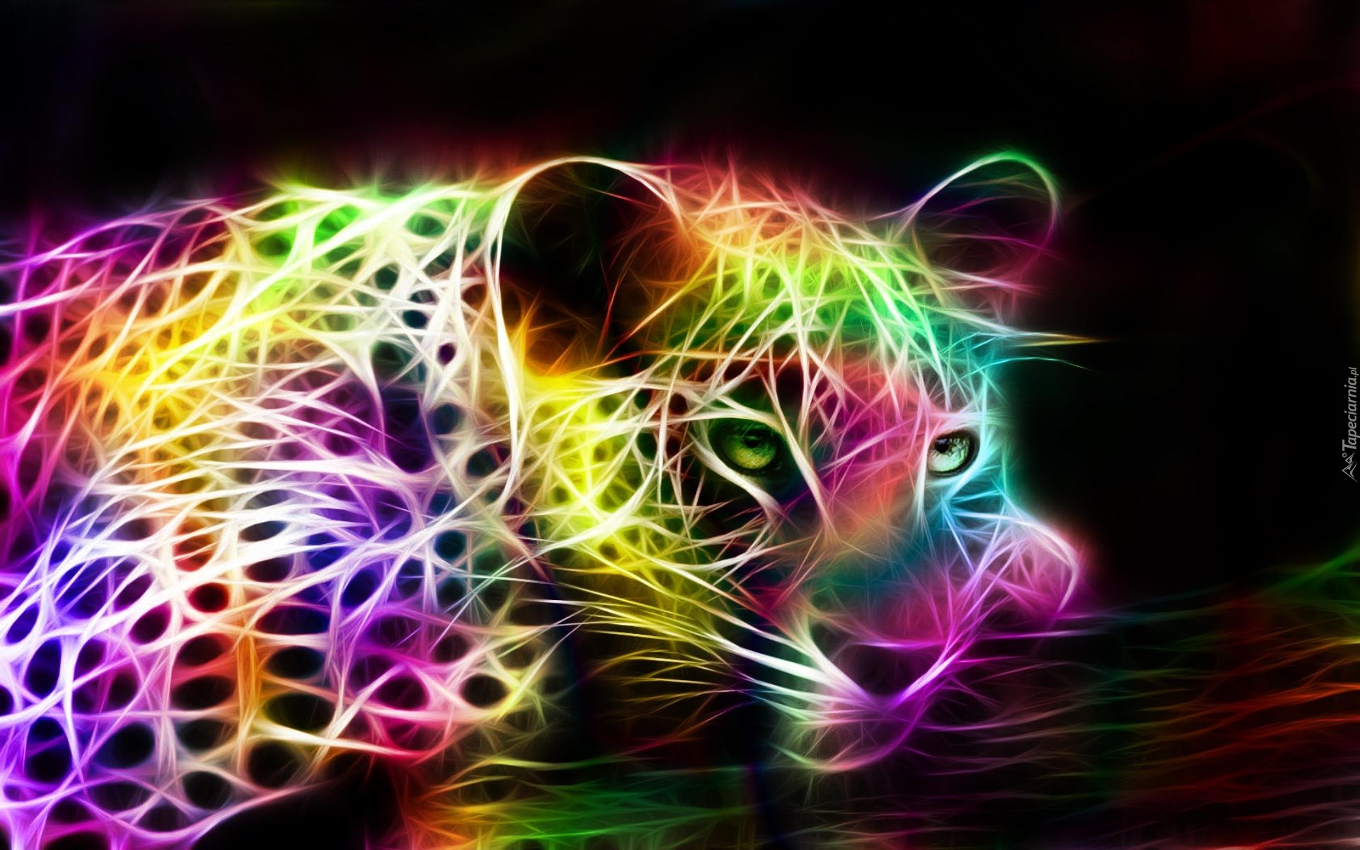 Kolorowe, Jaguar, Fractalius, Grafika