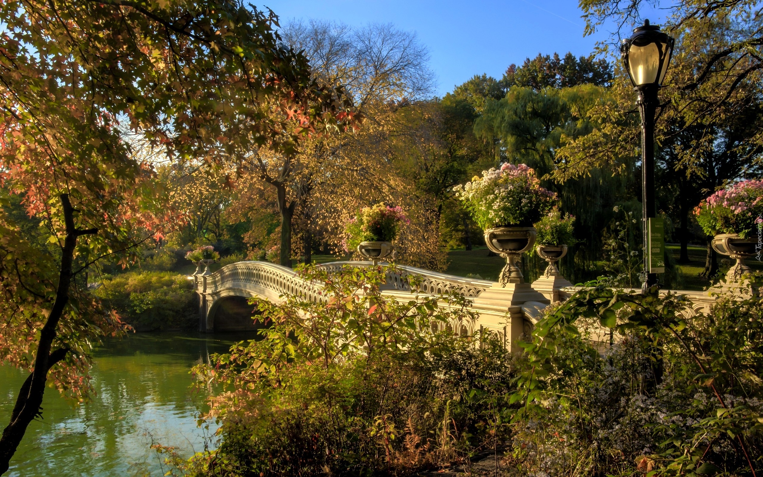 Park, Most, Drzewa, Jesień