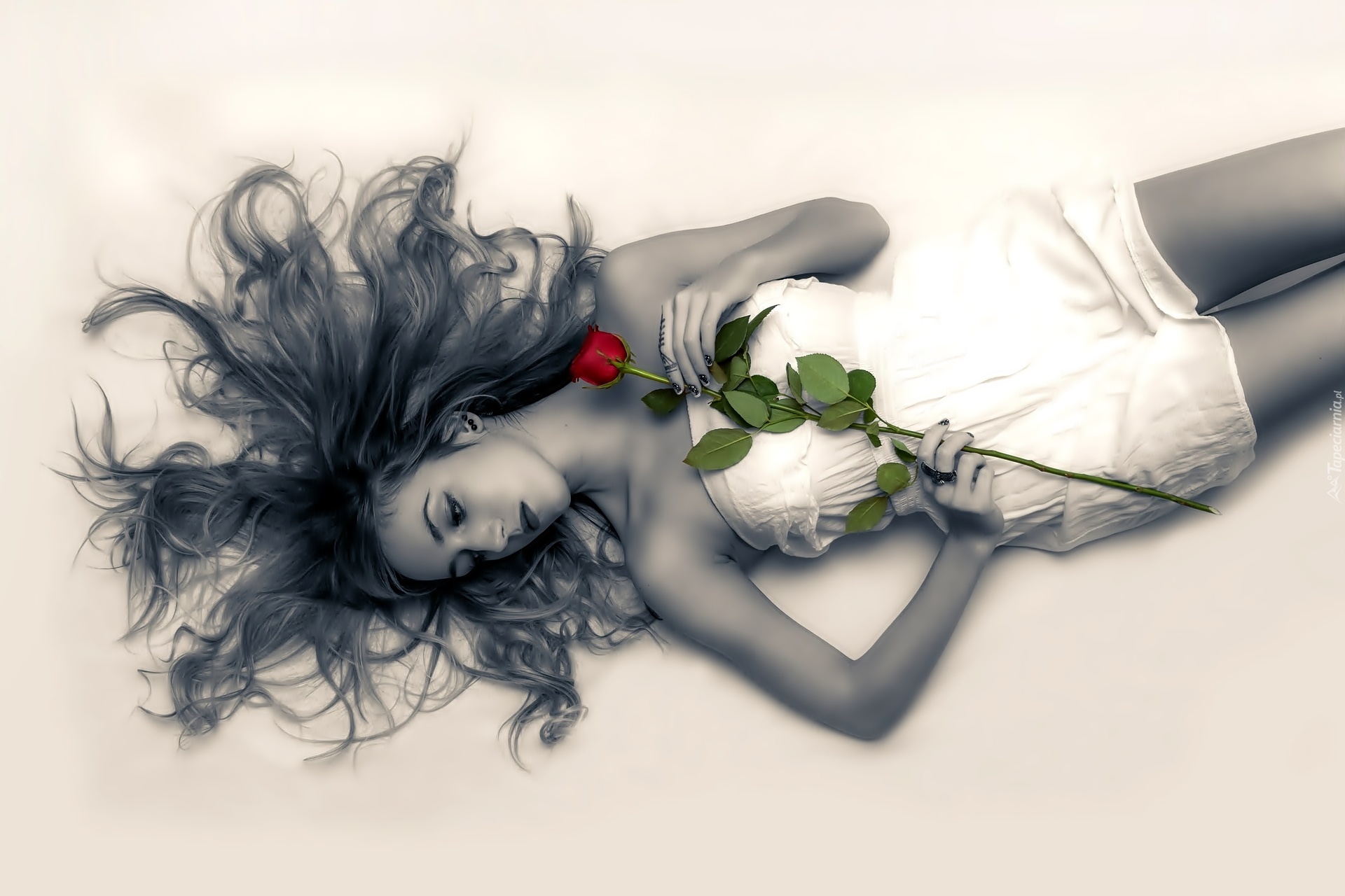 Róża, Kobieta, Rozwiane, Włosy