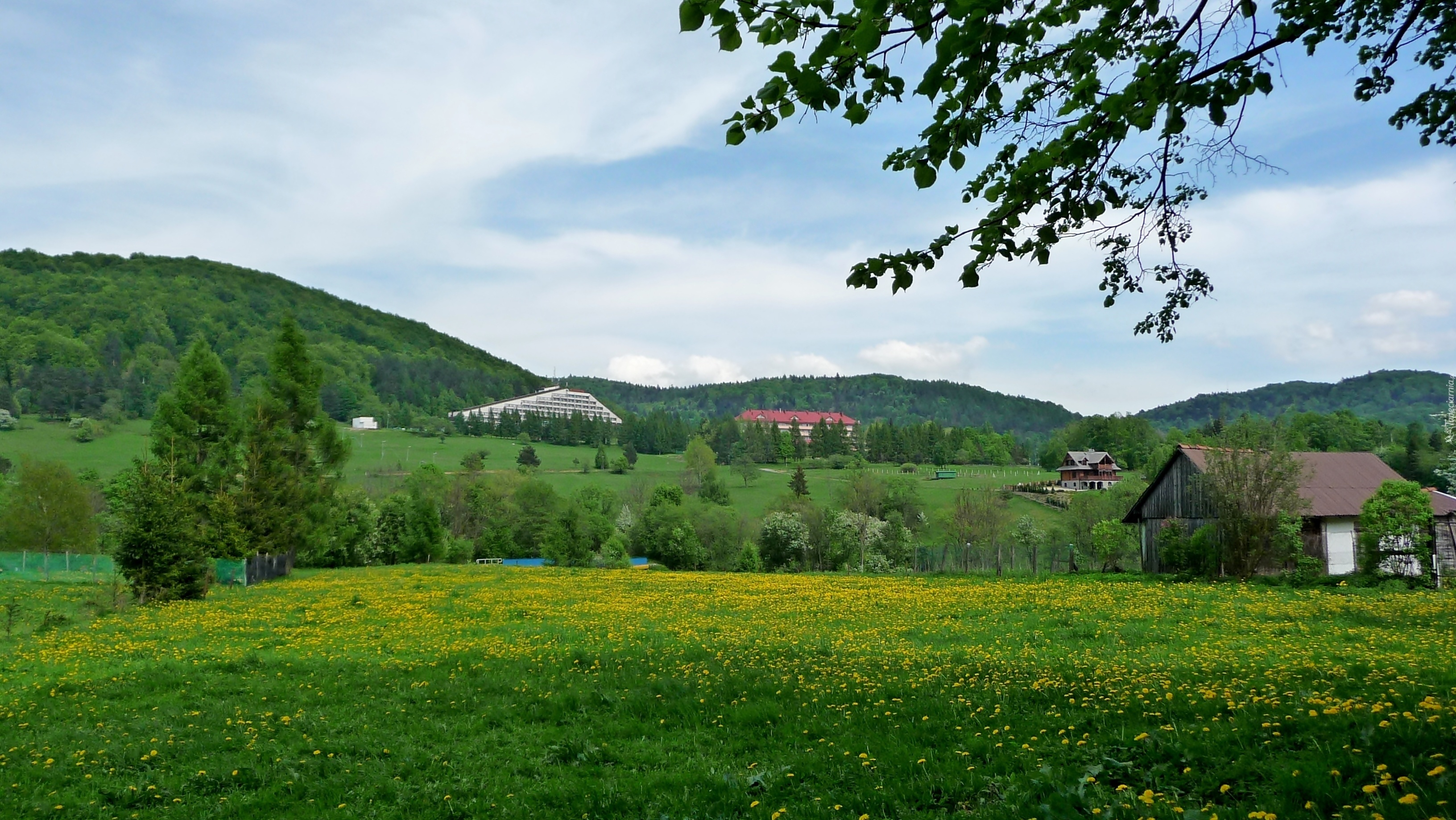 Wiosenne klimaty, Wzgórza, Hotel