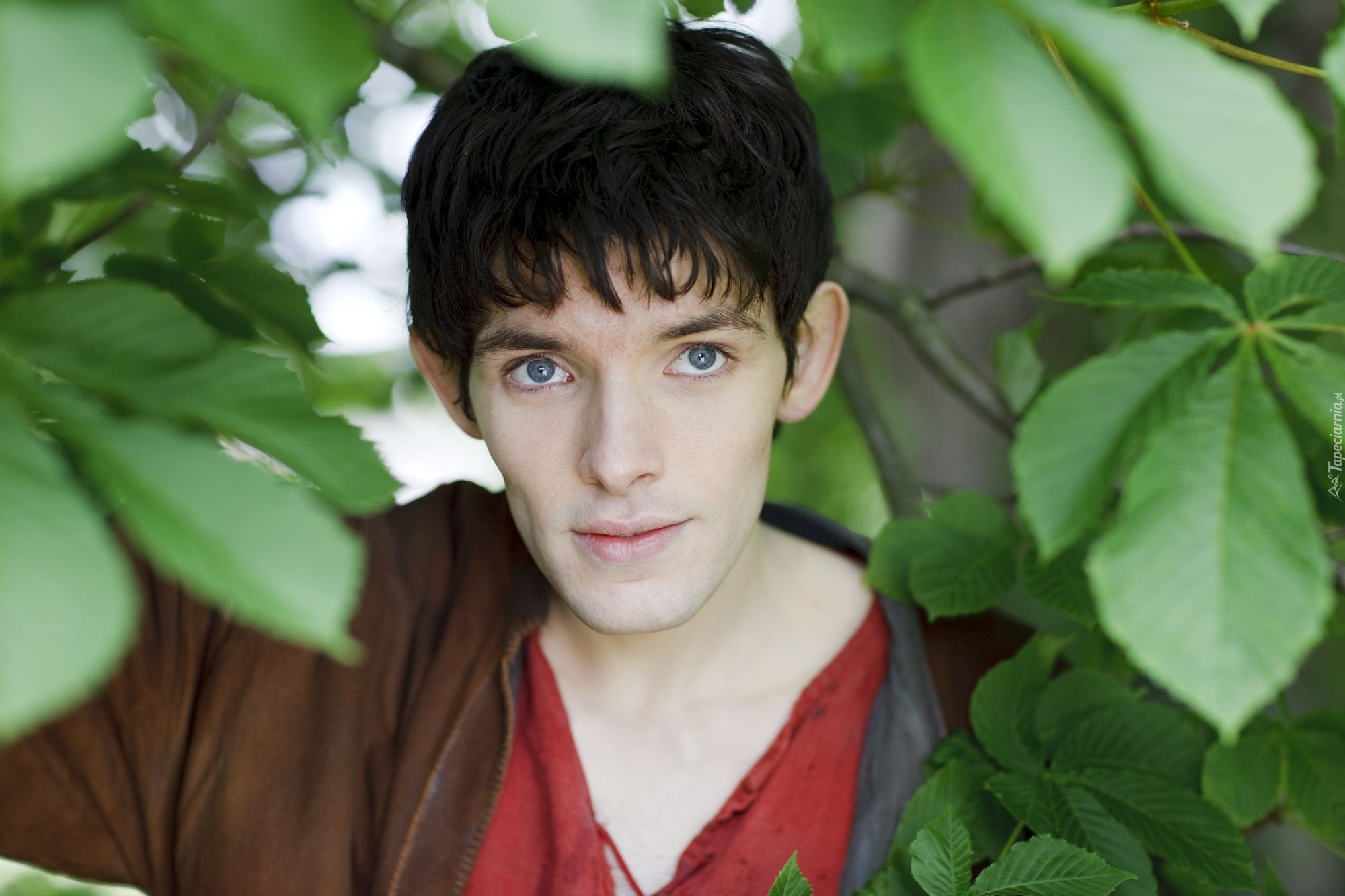 Serial, Przygody Merlina, The Adventures of Merlin, Aktor, Colin Morgan