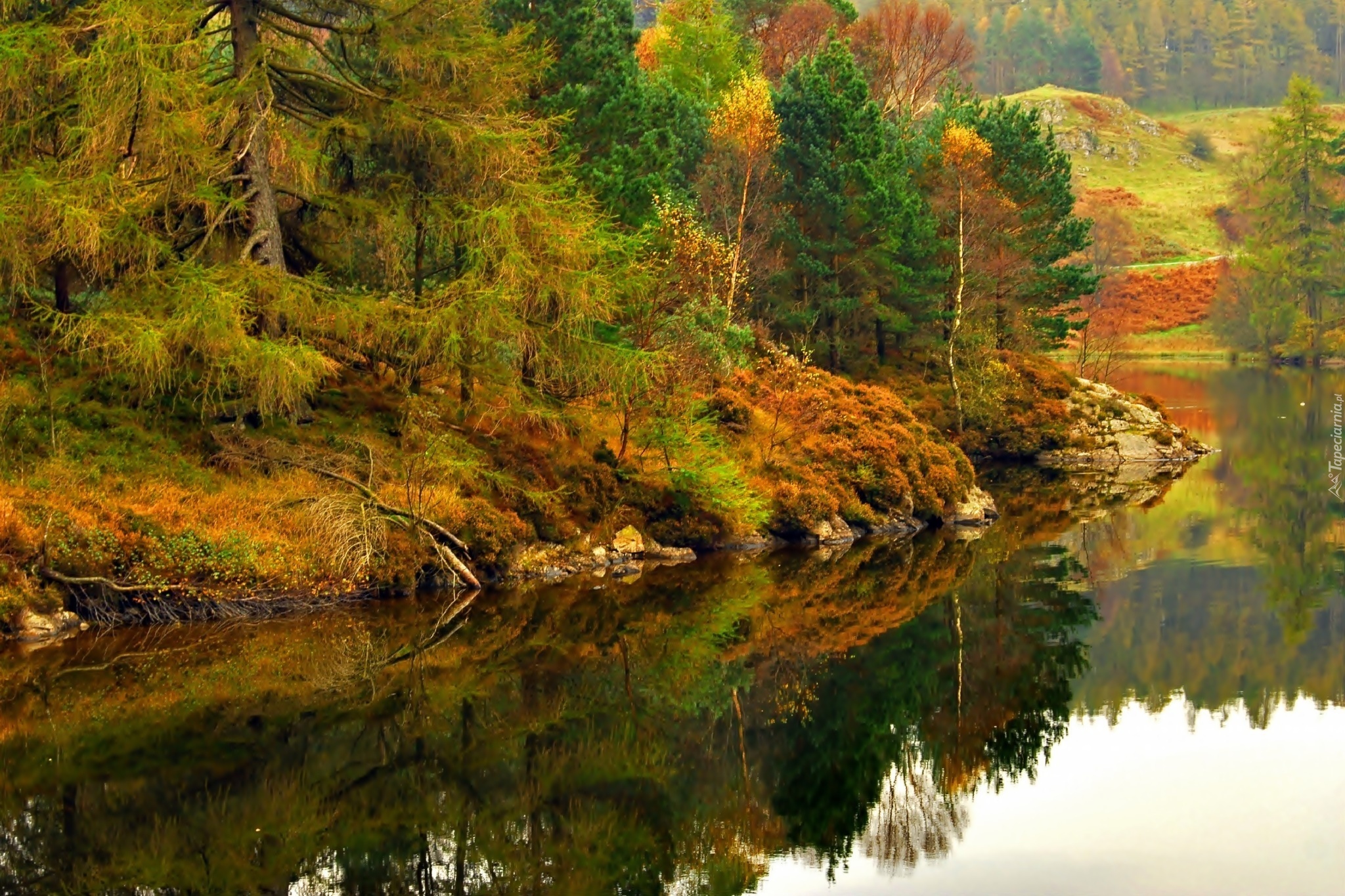 Góry, Las, Jezioro, Jesień