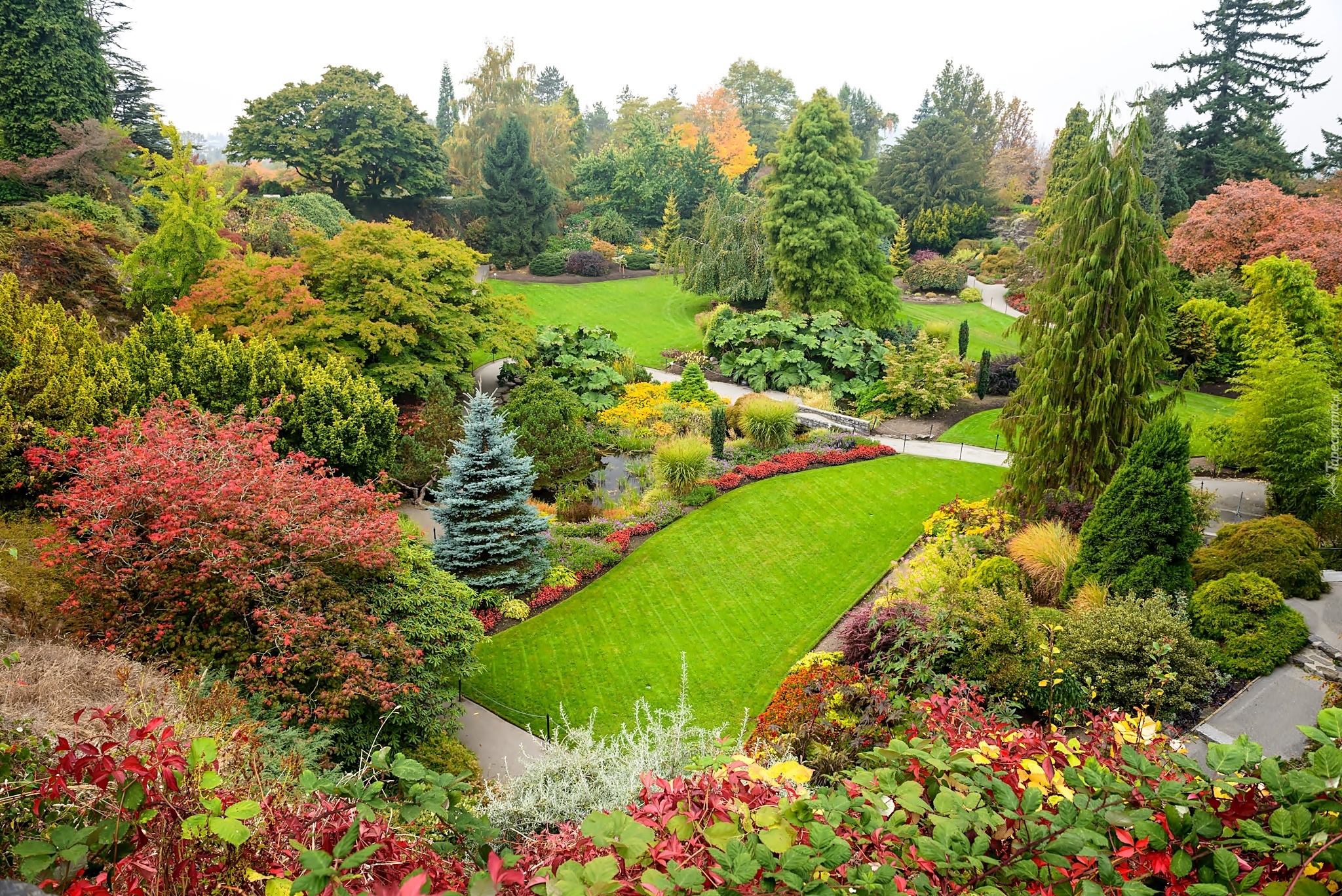 С какого года сад. Парк Квин Элизабет Ванкувер. Парк королевы Елизаветы в Ванкувере. Английский сад пейзажный парк. Парк дармера в Англии.