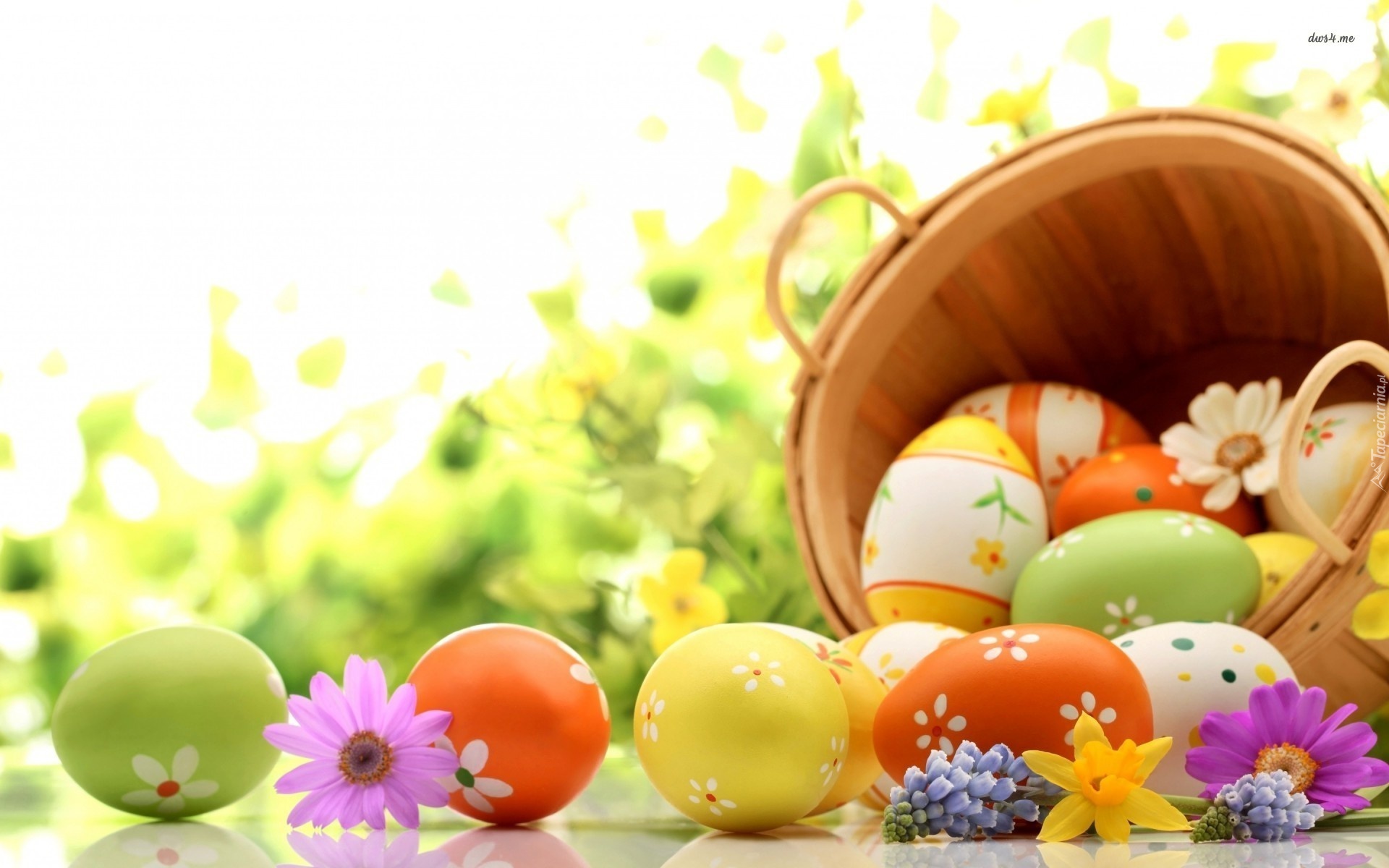 Wielkanoc, Jajka, Kwiaty, Koszyk