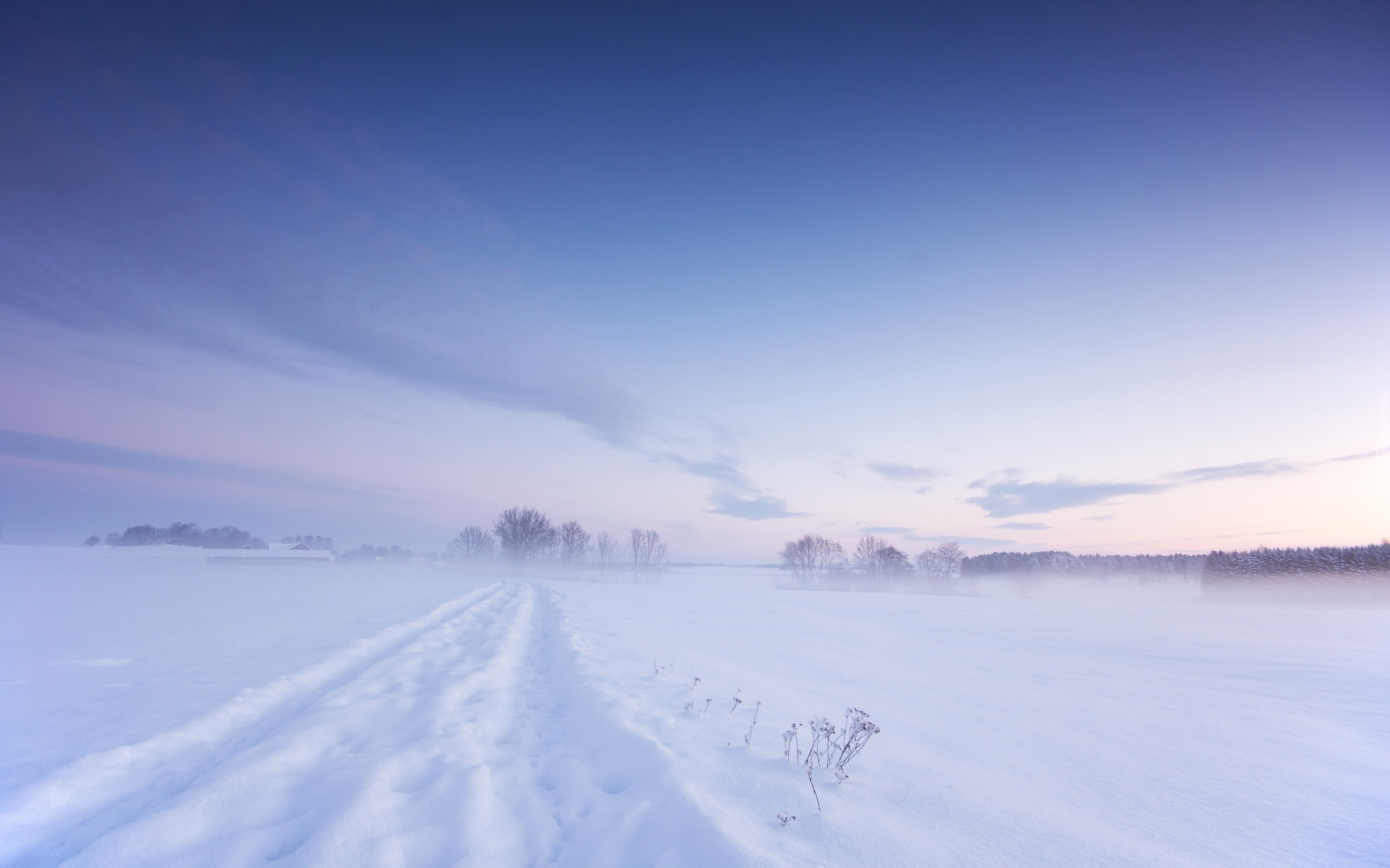 Zima, Śnieg