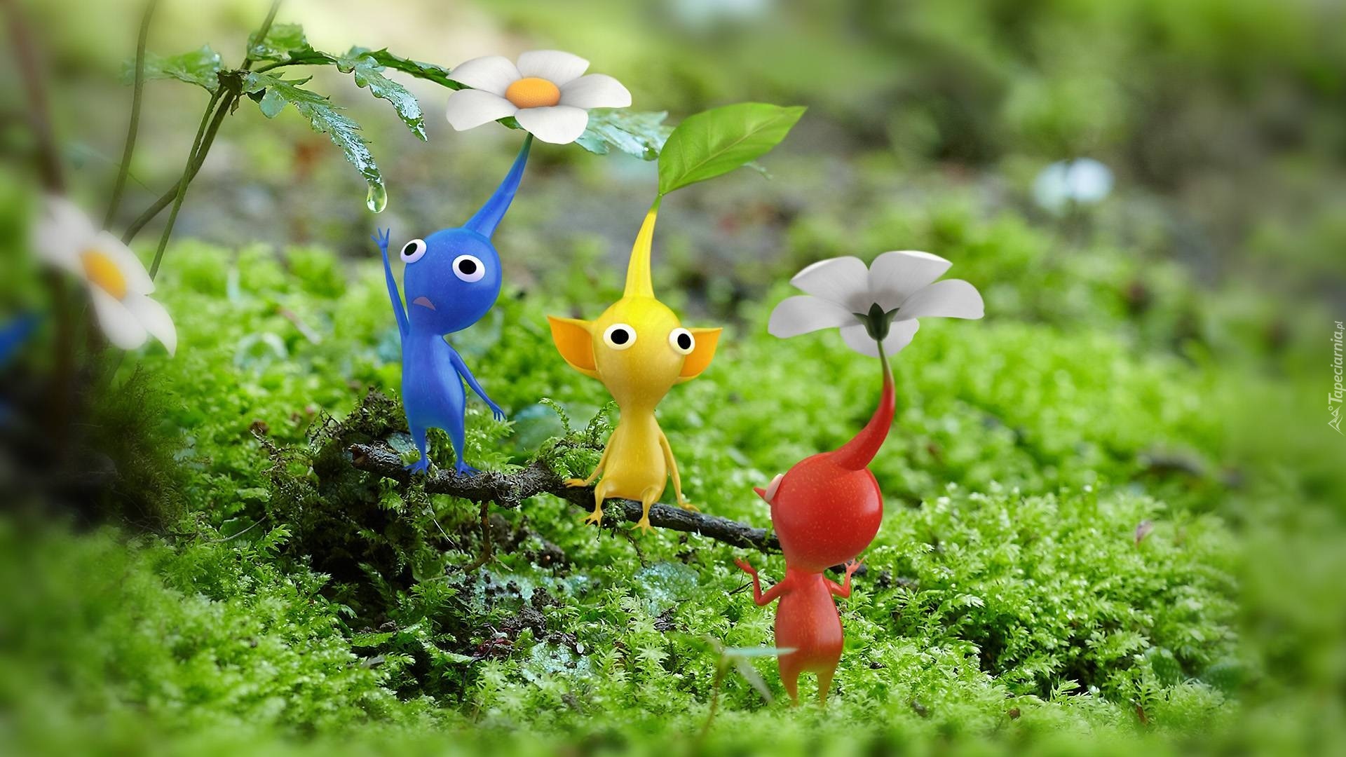 Kwiatki, Listek, Pikmin