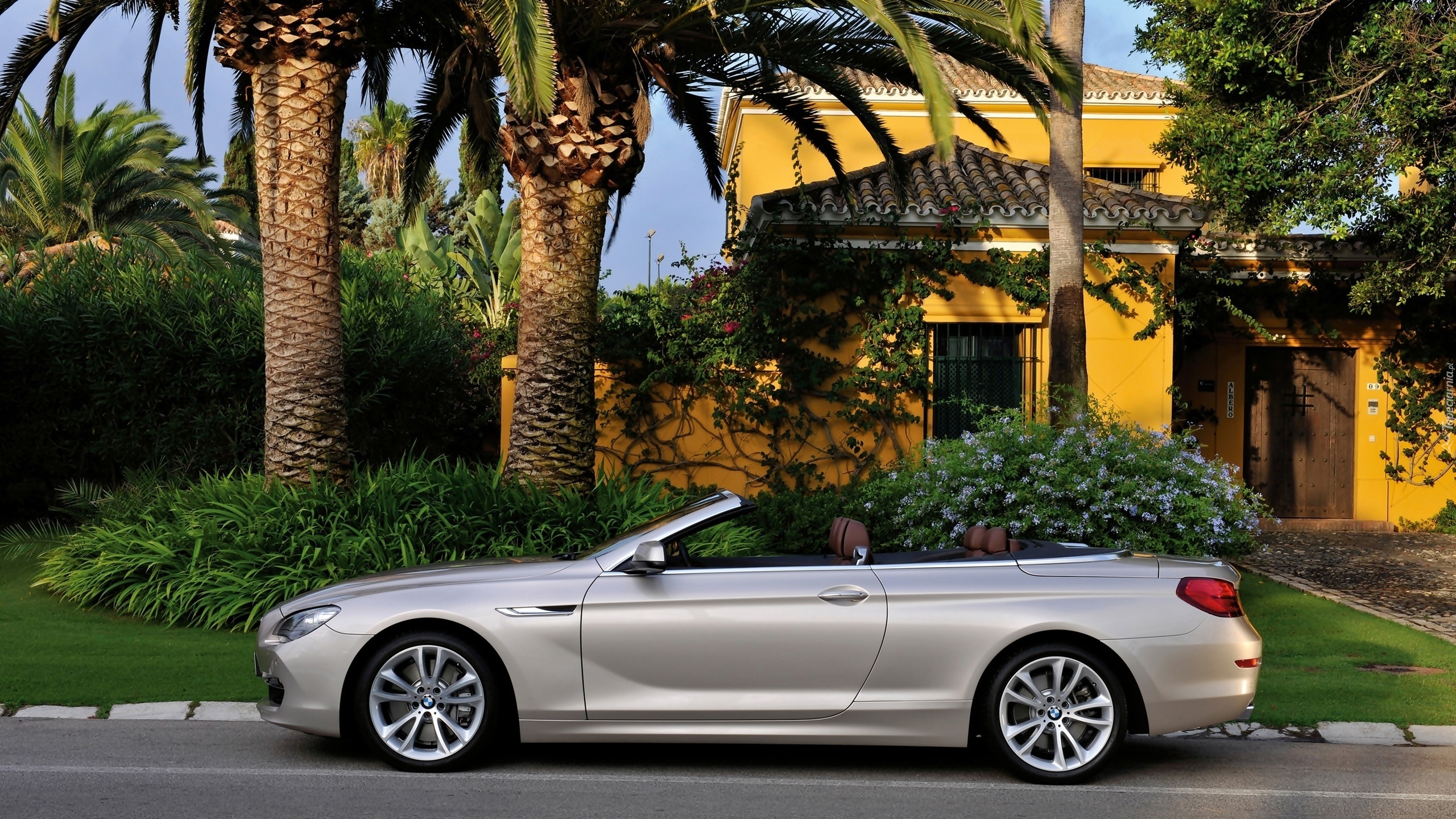 Willa, BMW 6, Cabrio