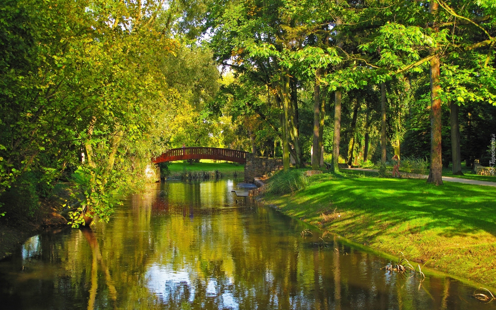 Park, Rzeczka, Mostek