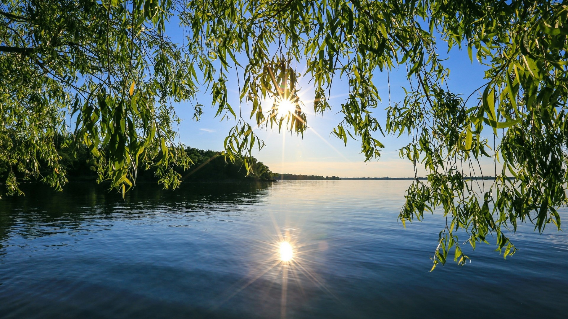 Jezioro, Las, Słońce