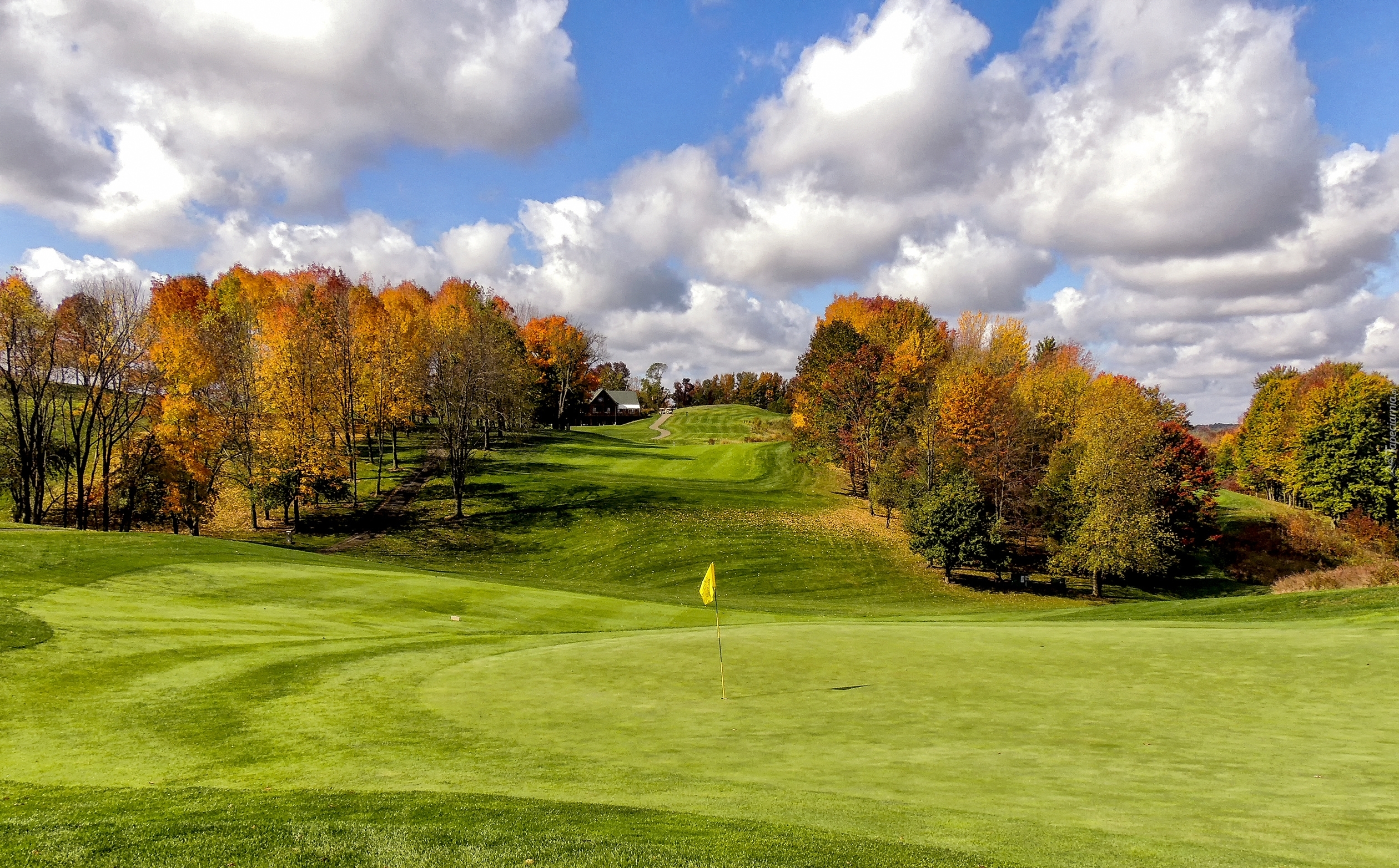 Jesień, Pole, Golfowe, Drzewa, Domek