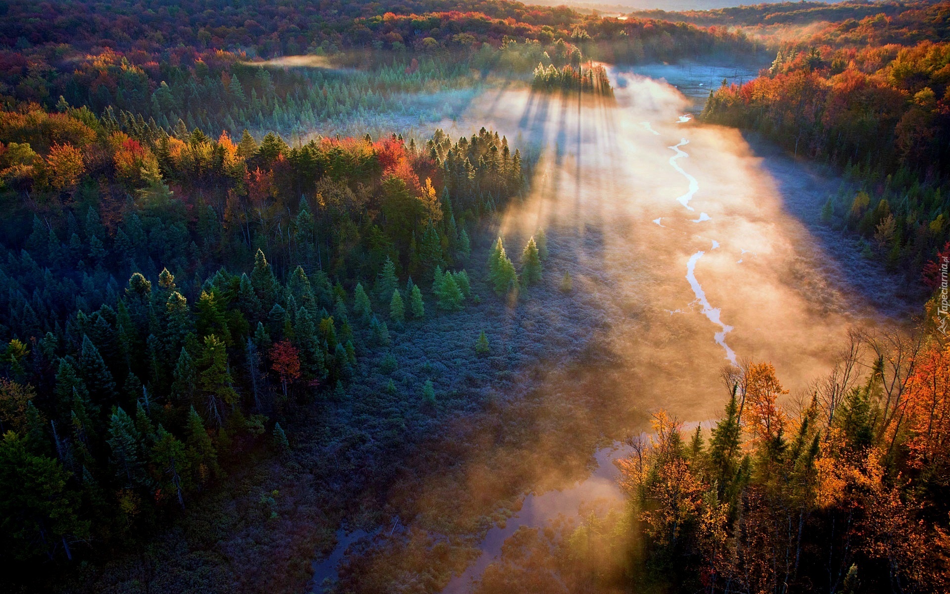 Jesień, Las, Rzeka, Mgła, Promienie Słońca, Z Lotu Ptaka