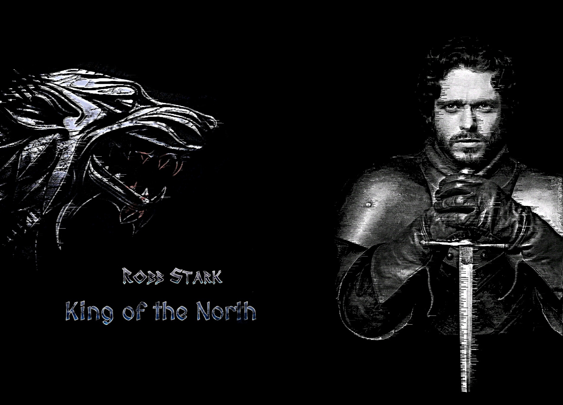 Gra o tron, Game of Thrones, Robb Stark, Wilk