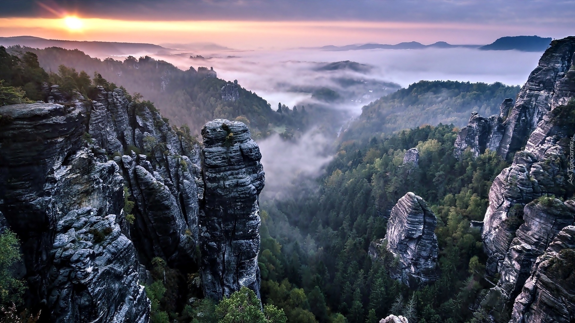 Góry, Alpy, Zachód Słońca, Drzewa, Mgła