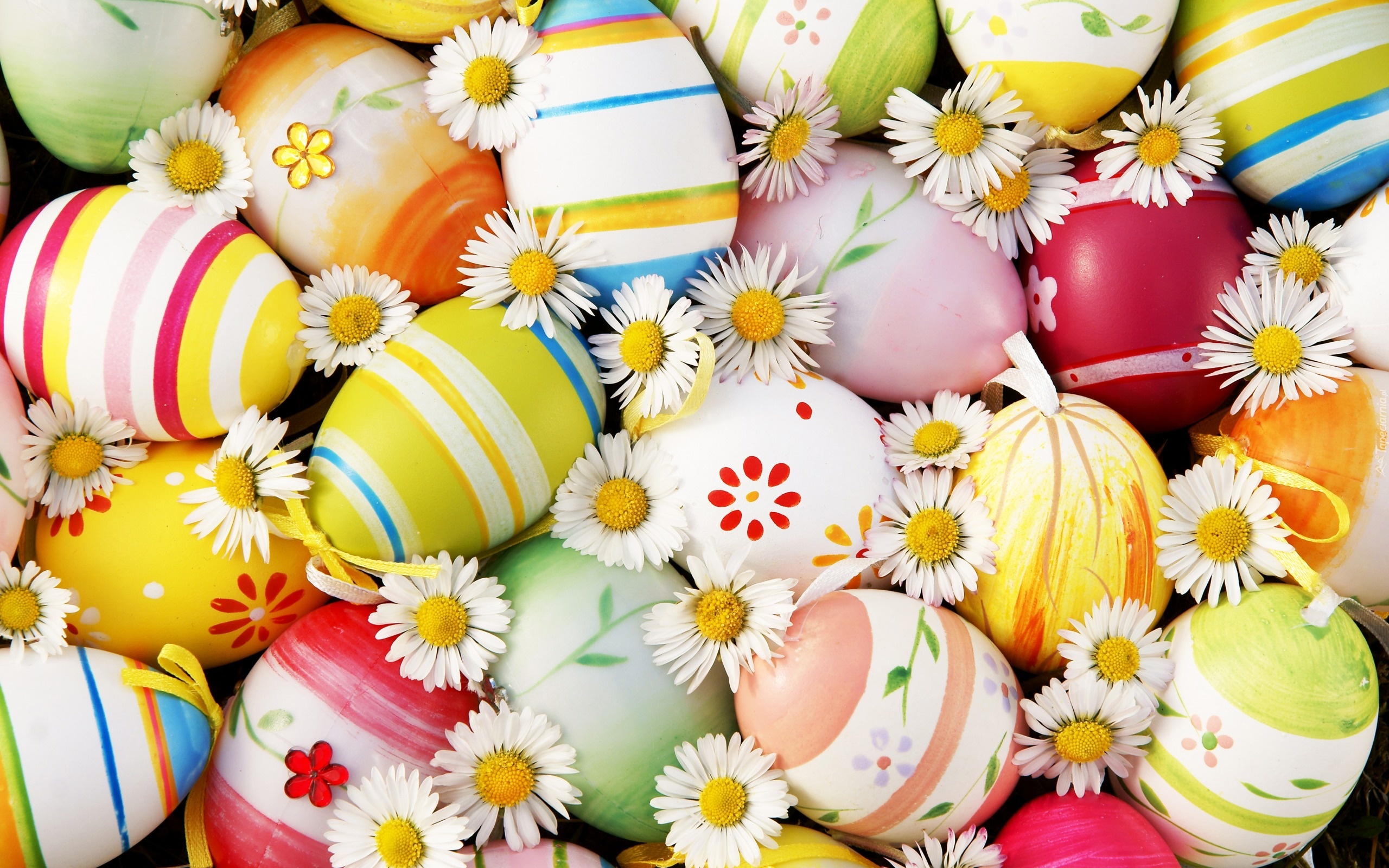 Wielkanoc, Jajka, Stokrotki, Kwiaty