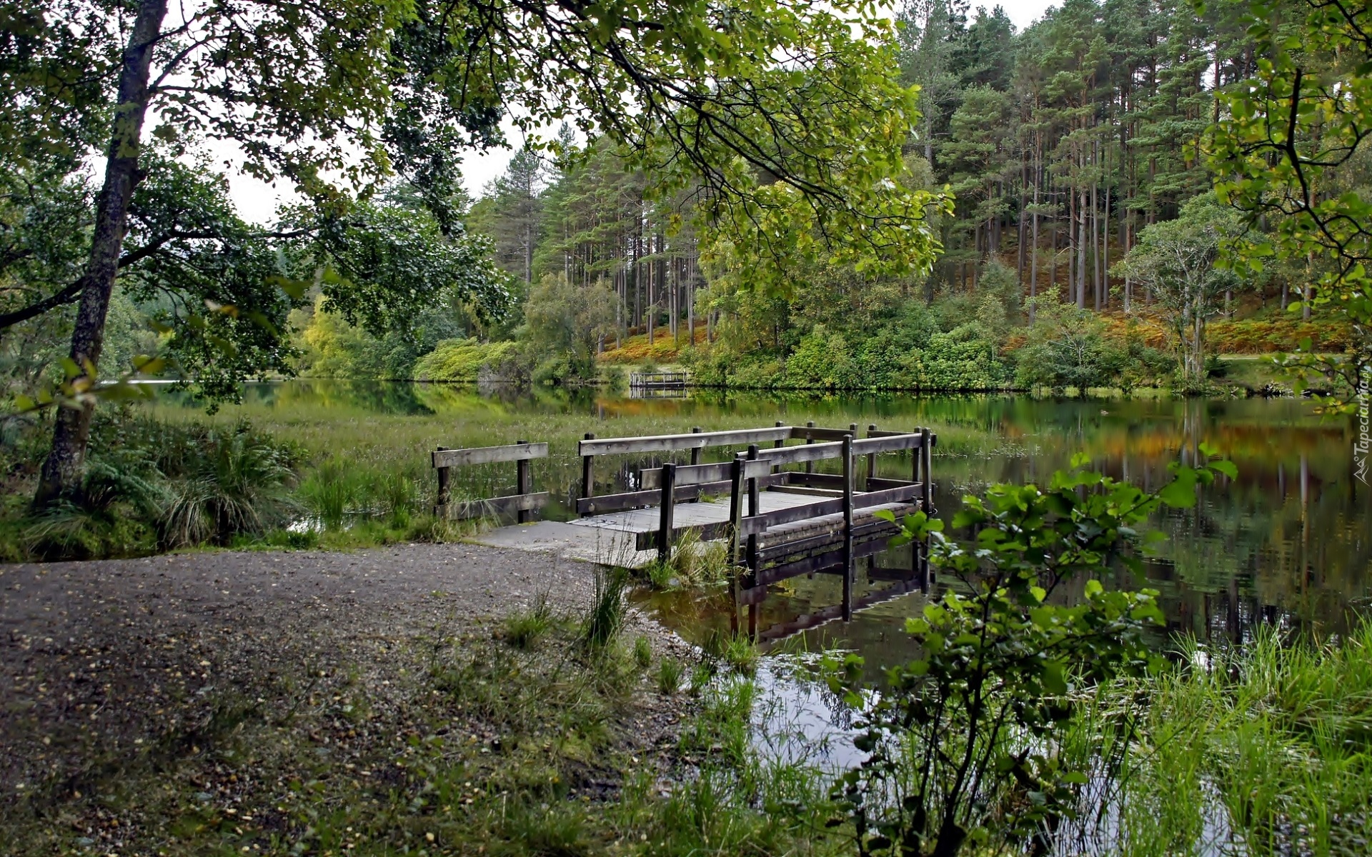 Las, Rzeka, Pomost