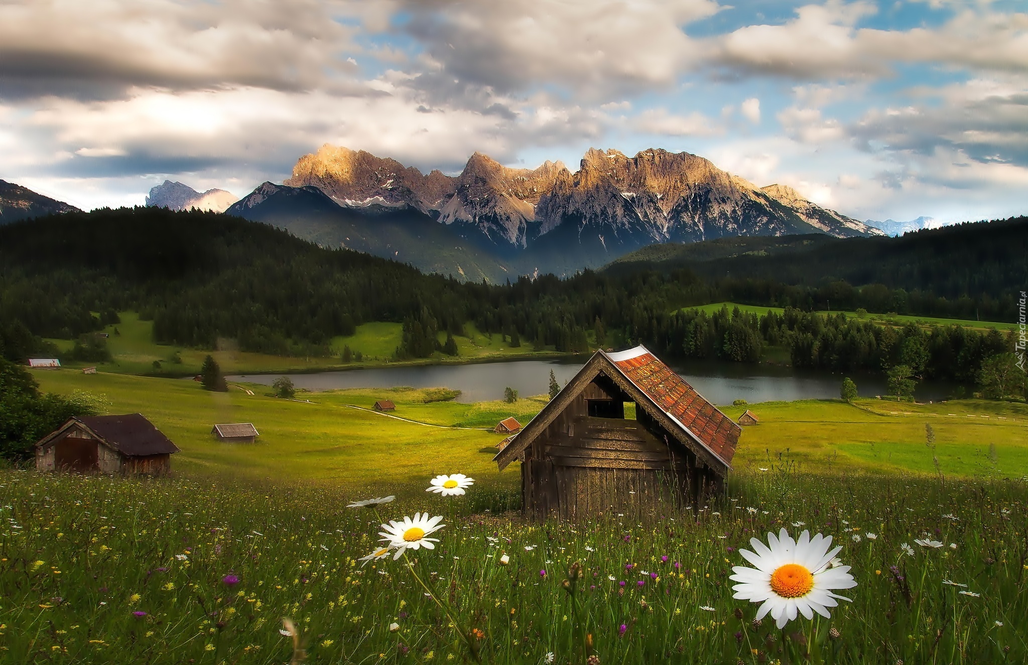 Domki, Góry Alpy, Lasy, Jezioro Geroldsee, Łąka, Kwiatki, Bawaria, Niemcy