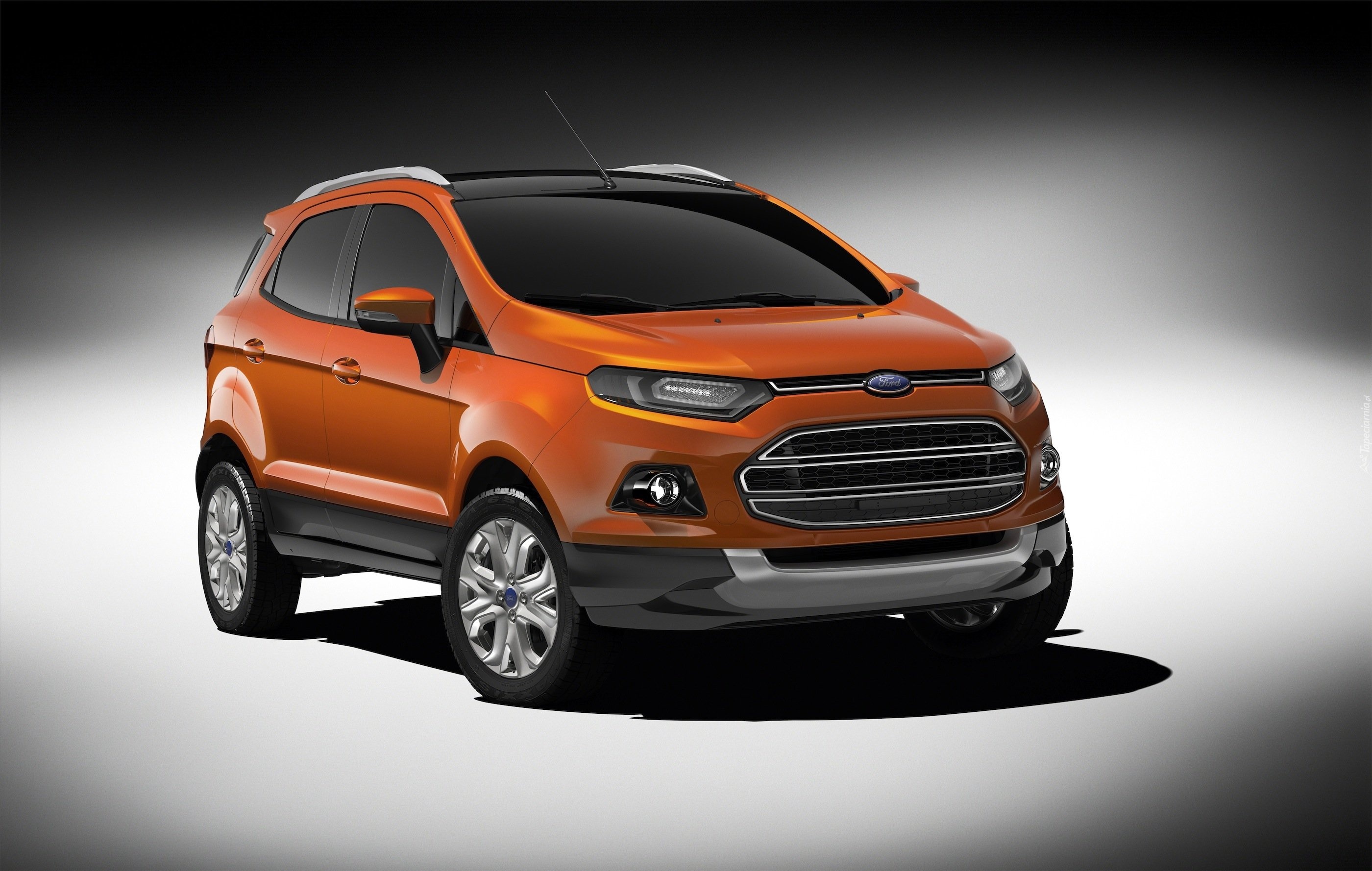Аксессуары ford ecosport