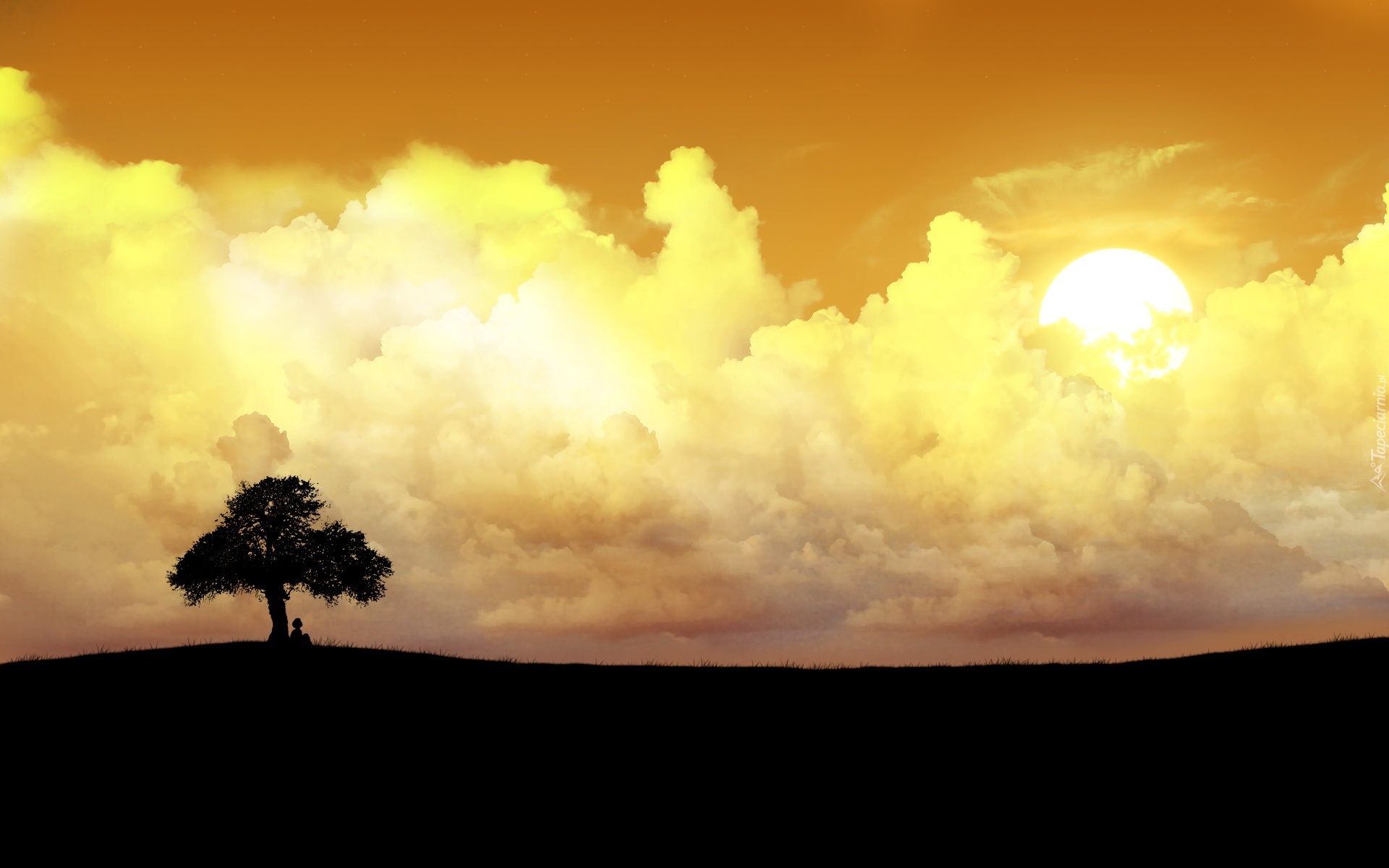Chmury, Słońce, Drzewo