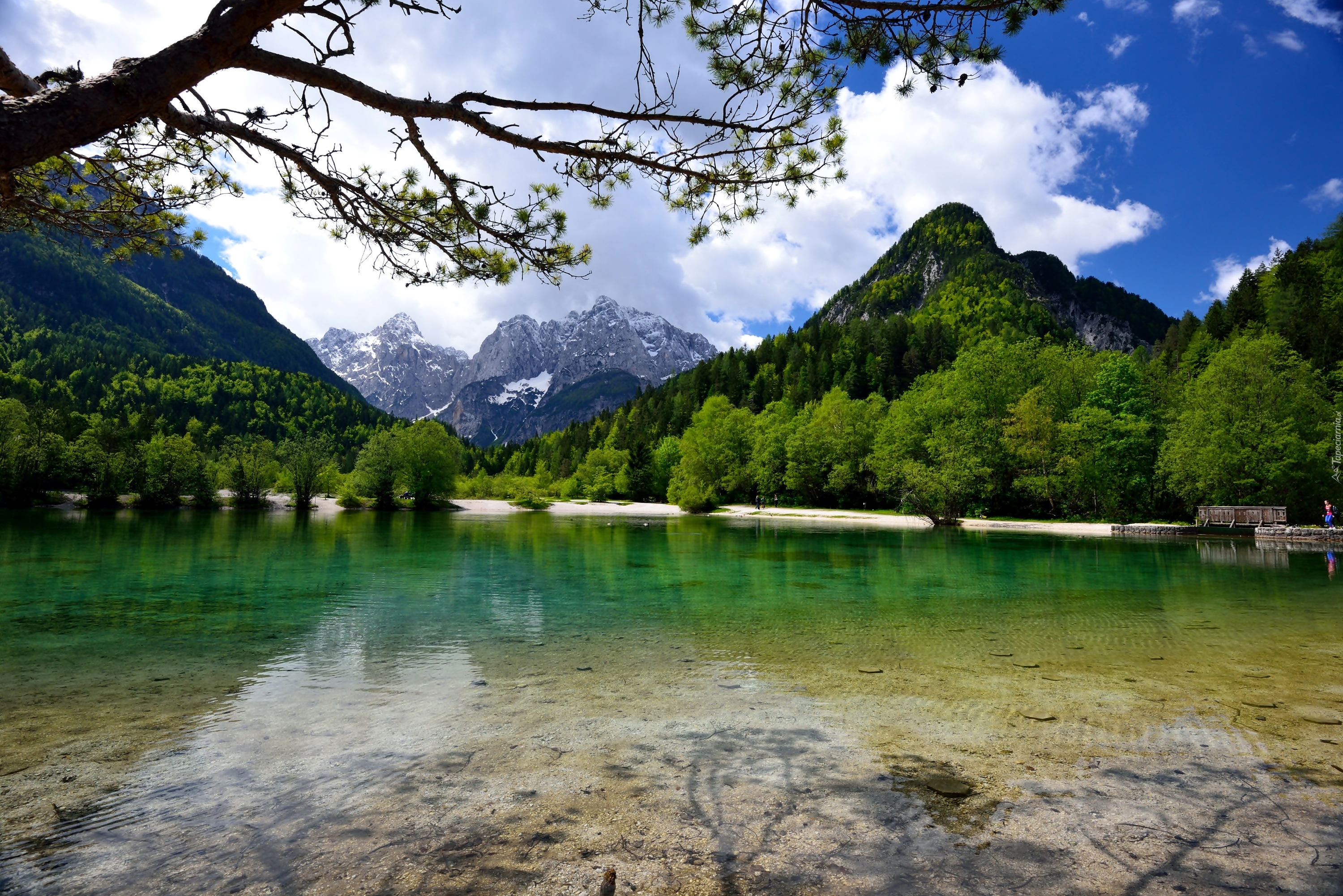 Góry, Las, Jezioro, Jasna Góra, Słowenia