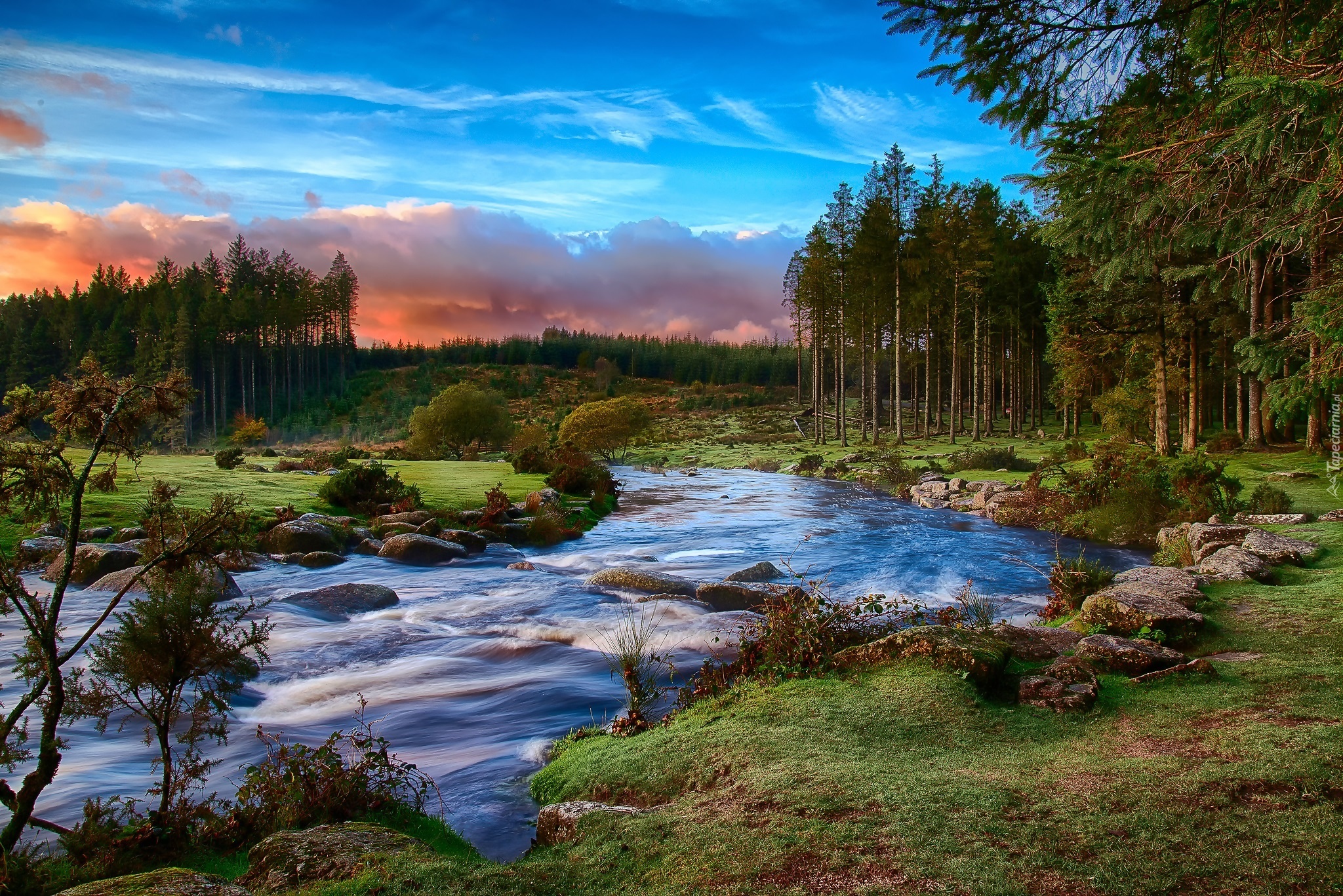 Красивый лес с рекой. Дартмур Англия лес. Графство Девон Dartmoor National Park. Пейзаж. Река в лесу.