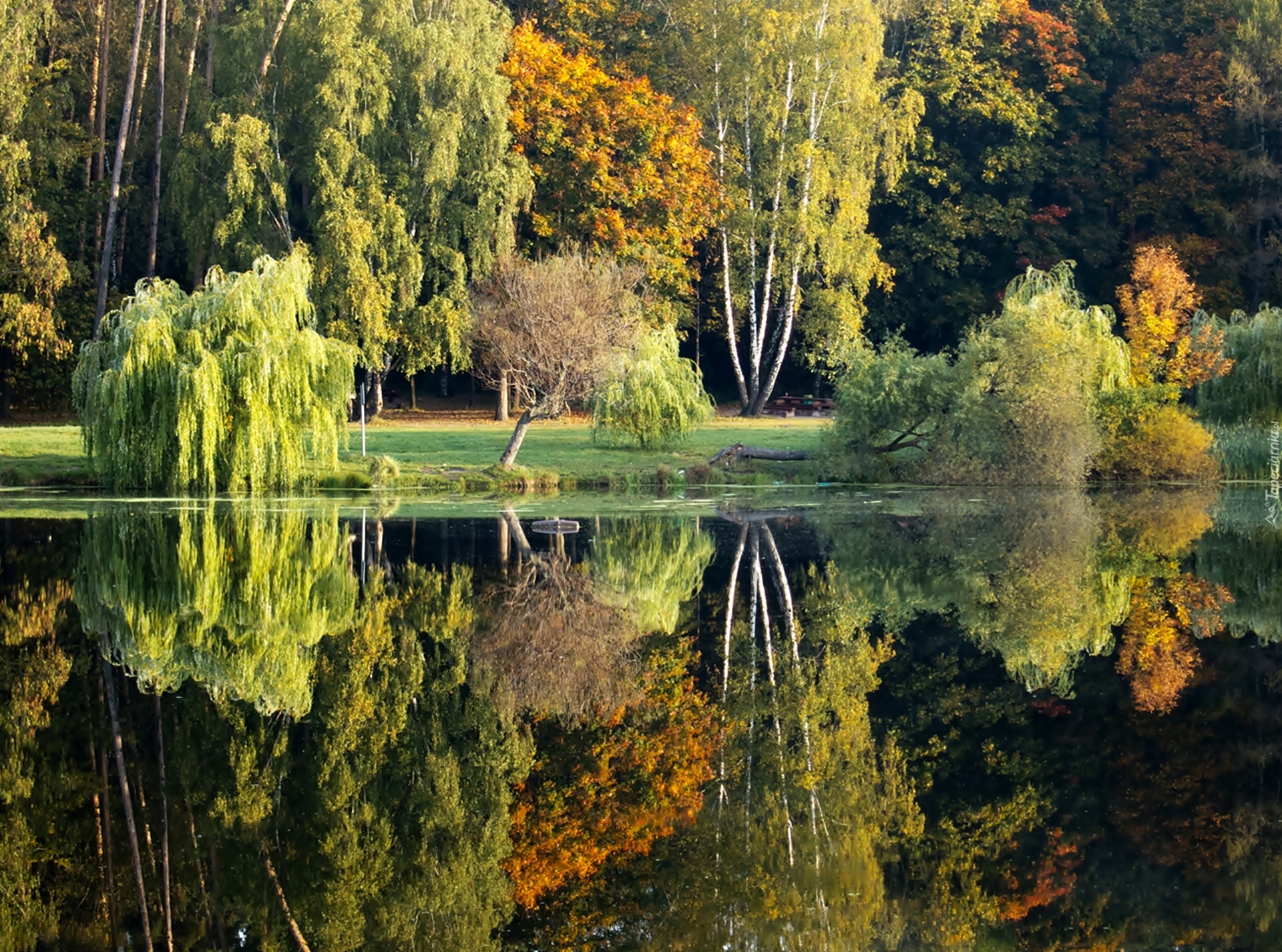 Jesień, Park, Staw, Odbicie